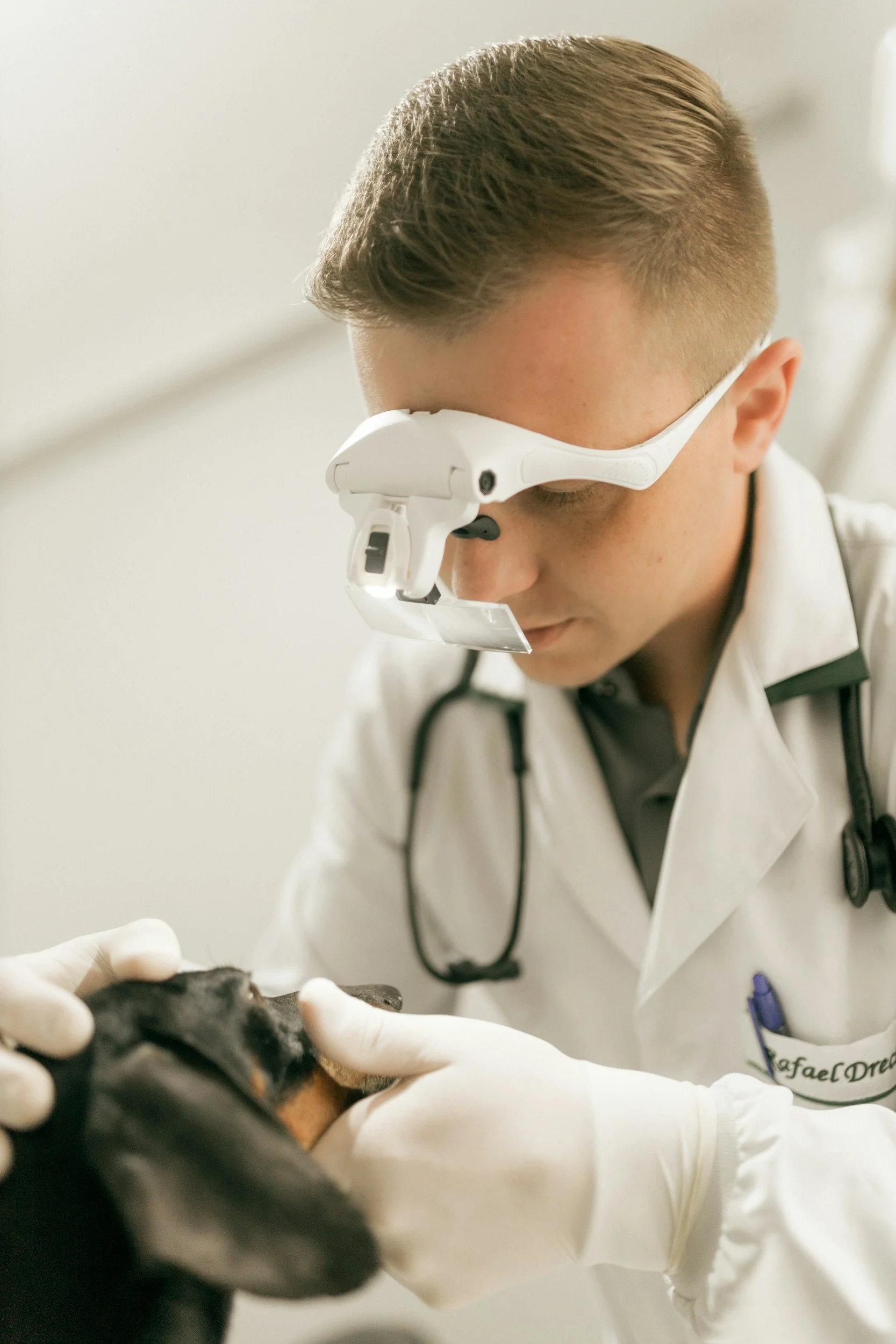 A veterinarian wearing white coat and protective glasses examining a black dog, focusing on the dog's head.