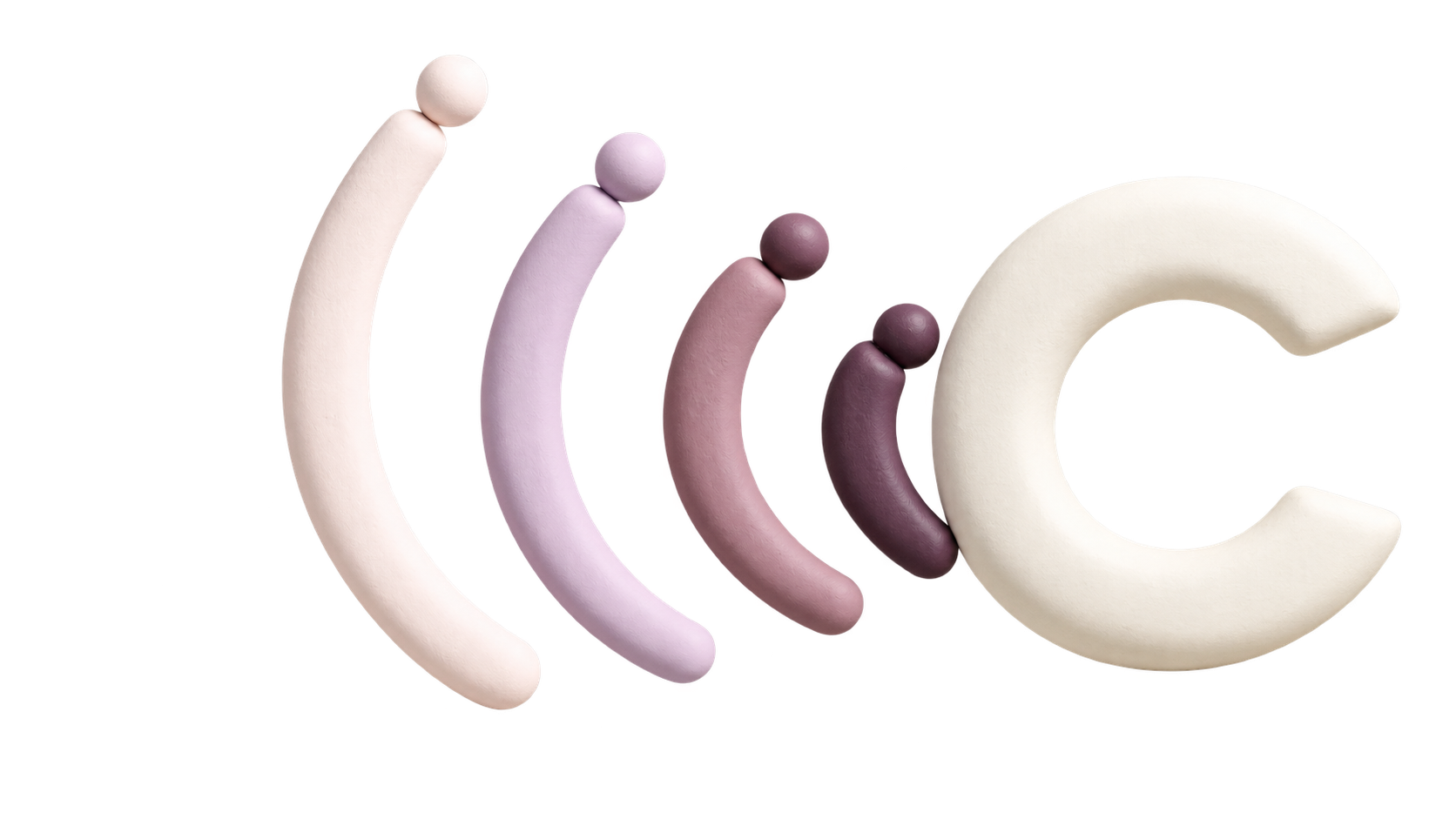 An illustration of the evolution of the human penis in various shades of pink and beige, with a large cream-colored 'C' shape on the right.