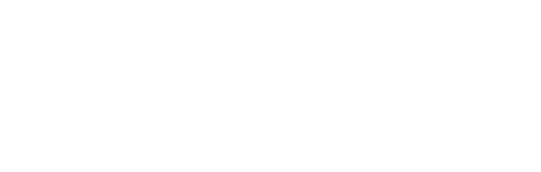 Salomon Landmark 81