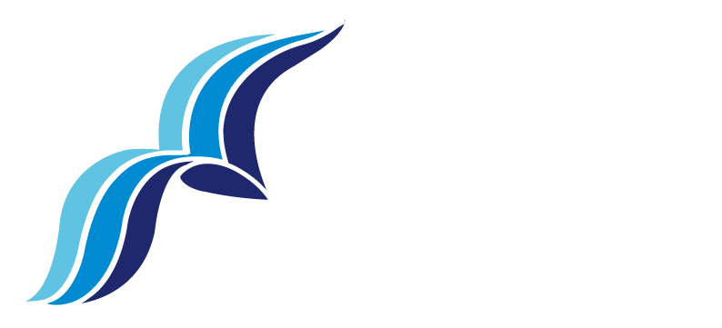 Logo con ondata stilizzata blu e testo 'Pagine Azzurre' in bianco e nero