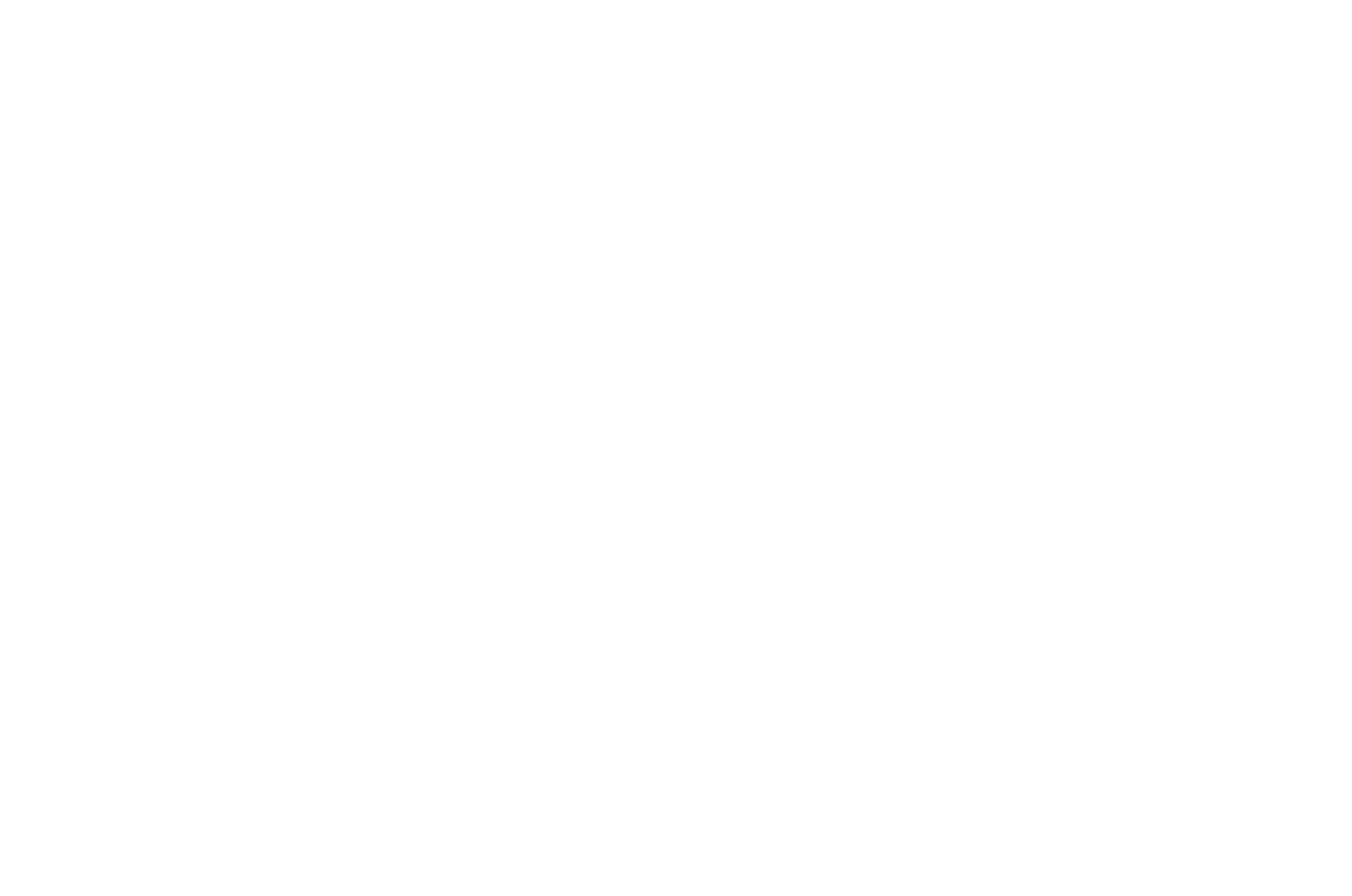 Logo di blueshel con simbolo di un occhio stilizzato e testo 'blueshel' e 'SMART MARINA MANAGEMENT SOFTWARE' in caratteri bianchi su sfondo nero.