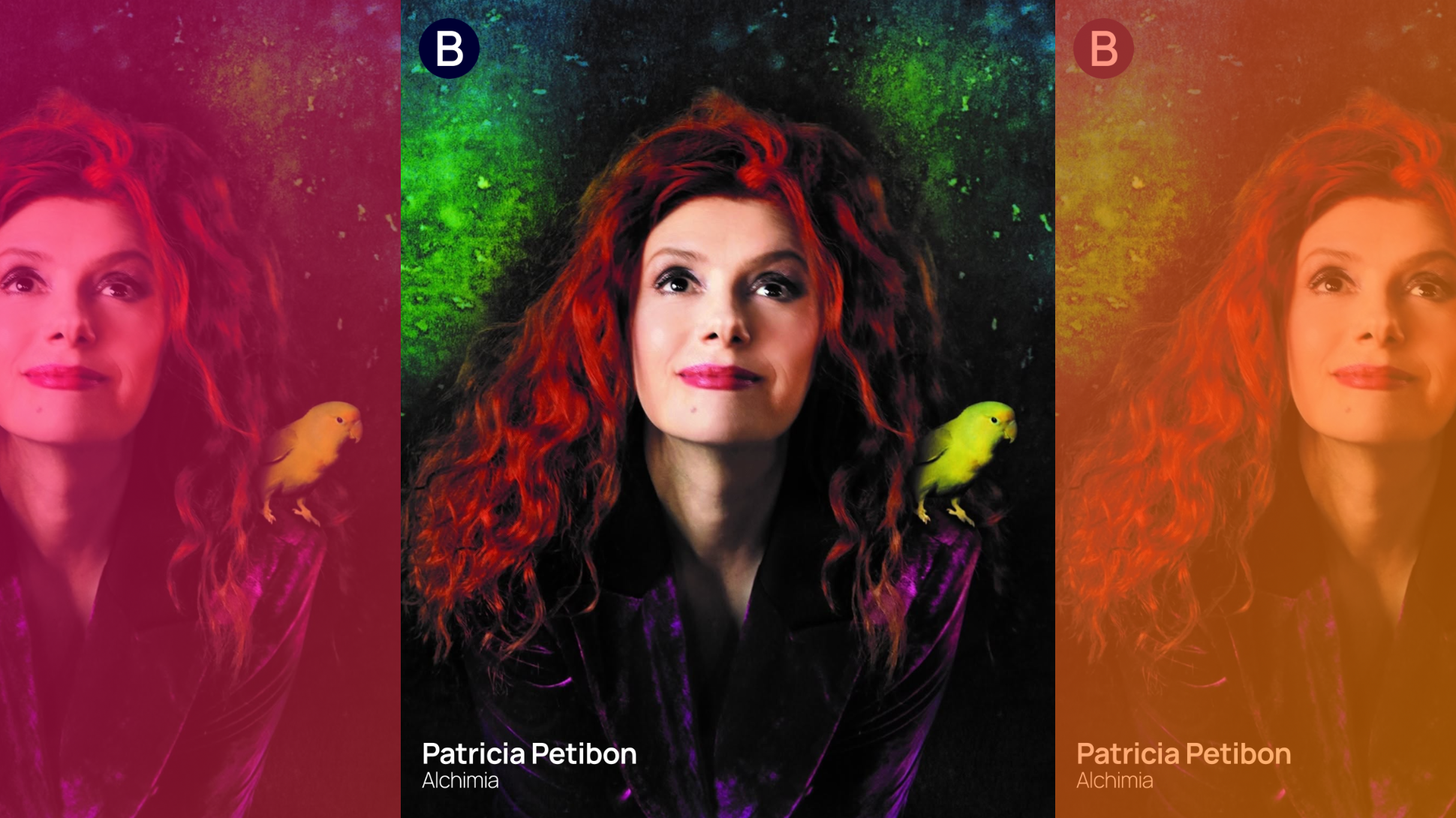 patricia petibon : alchimia