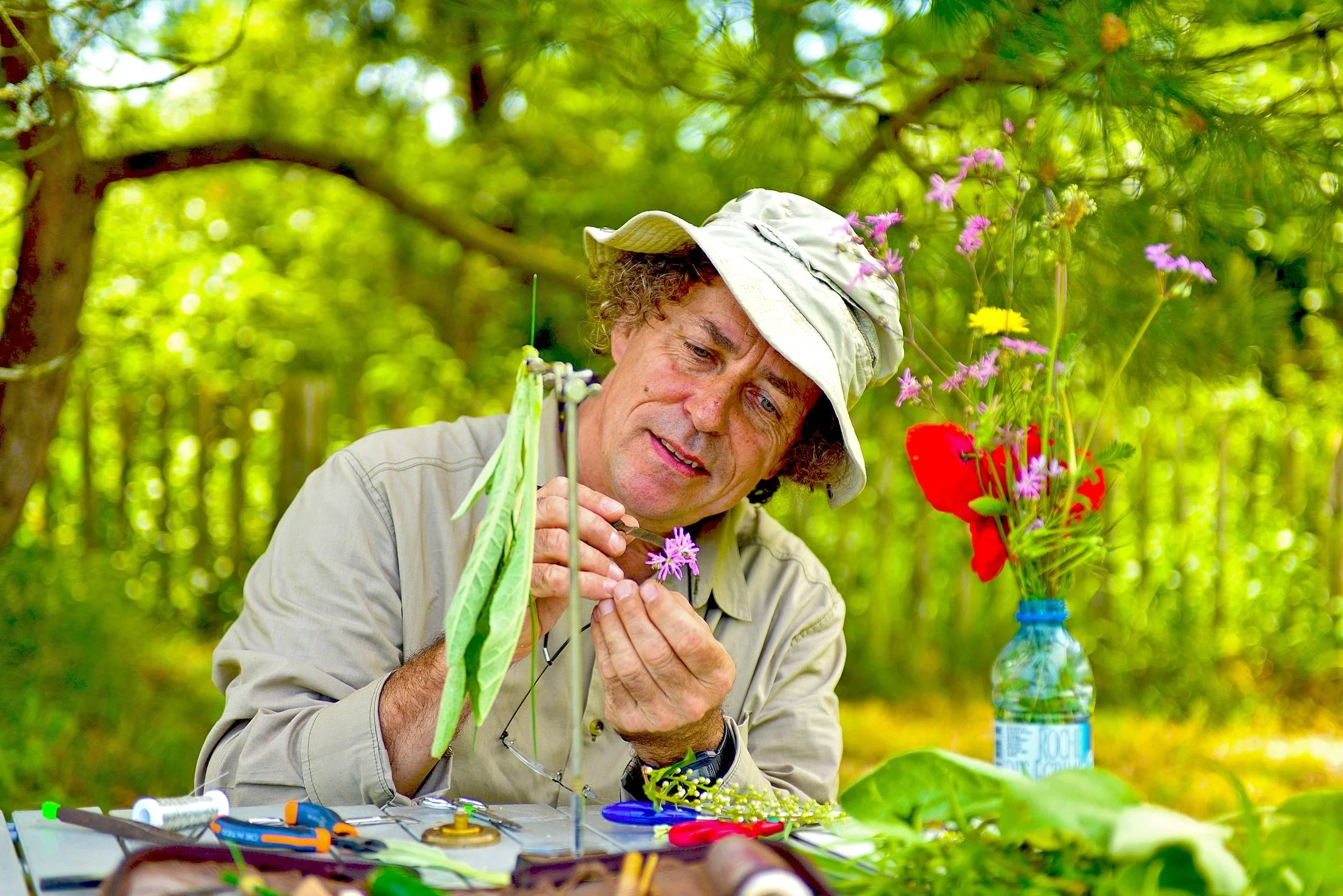 François Maurisse / Les Herbettes / Botanica