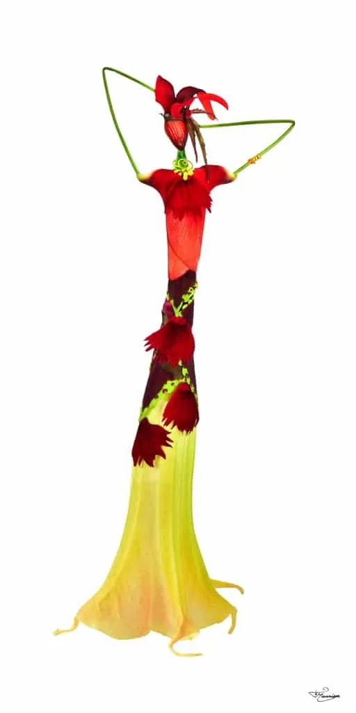François Maurisse / Les Herbettes / Botanica