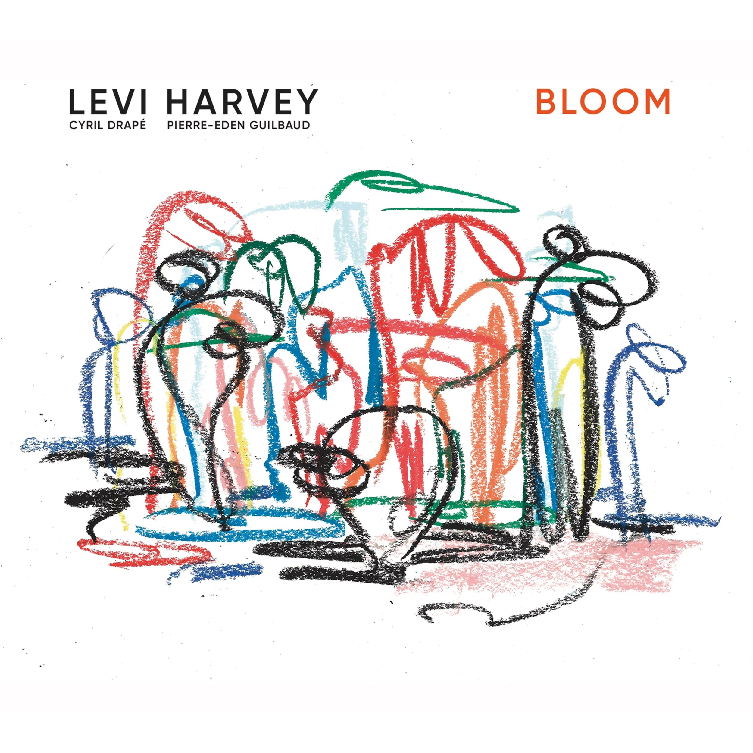 Levi Harvey Bloom