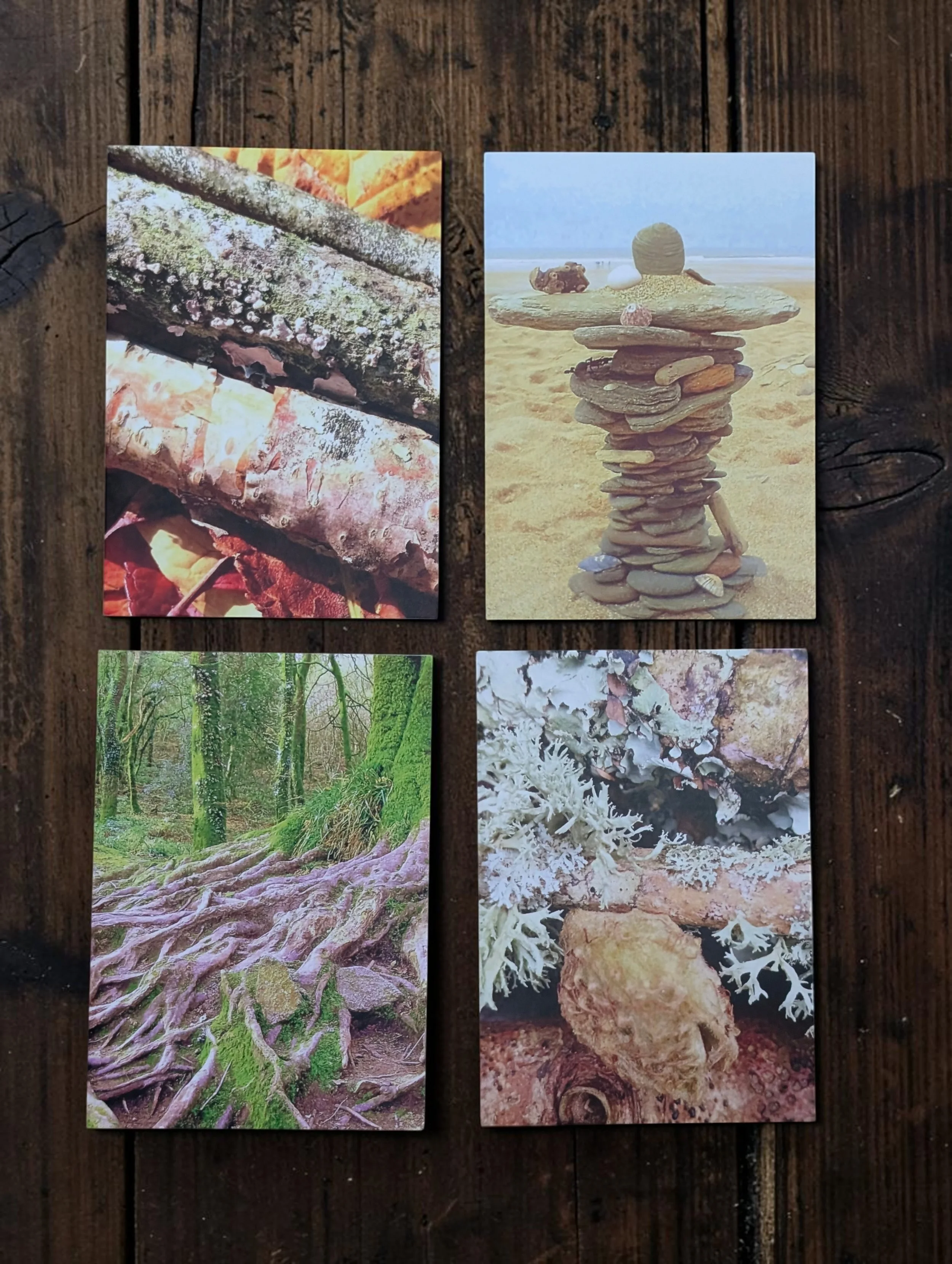 Nature Photography Blank Greeting Cards by Shelly Cook