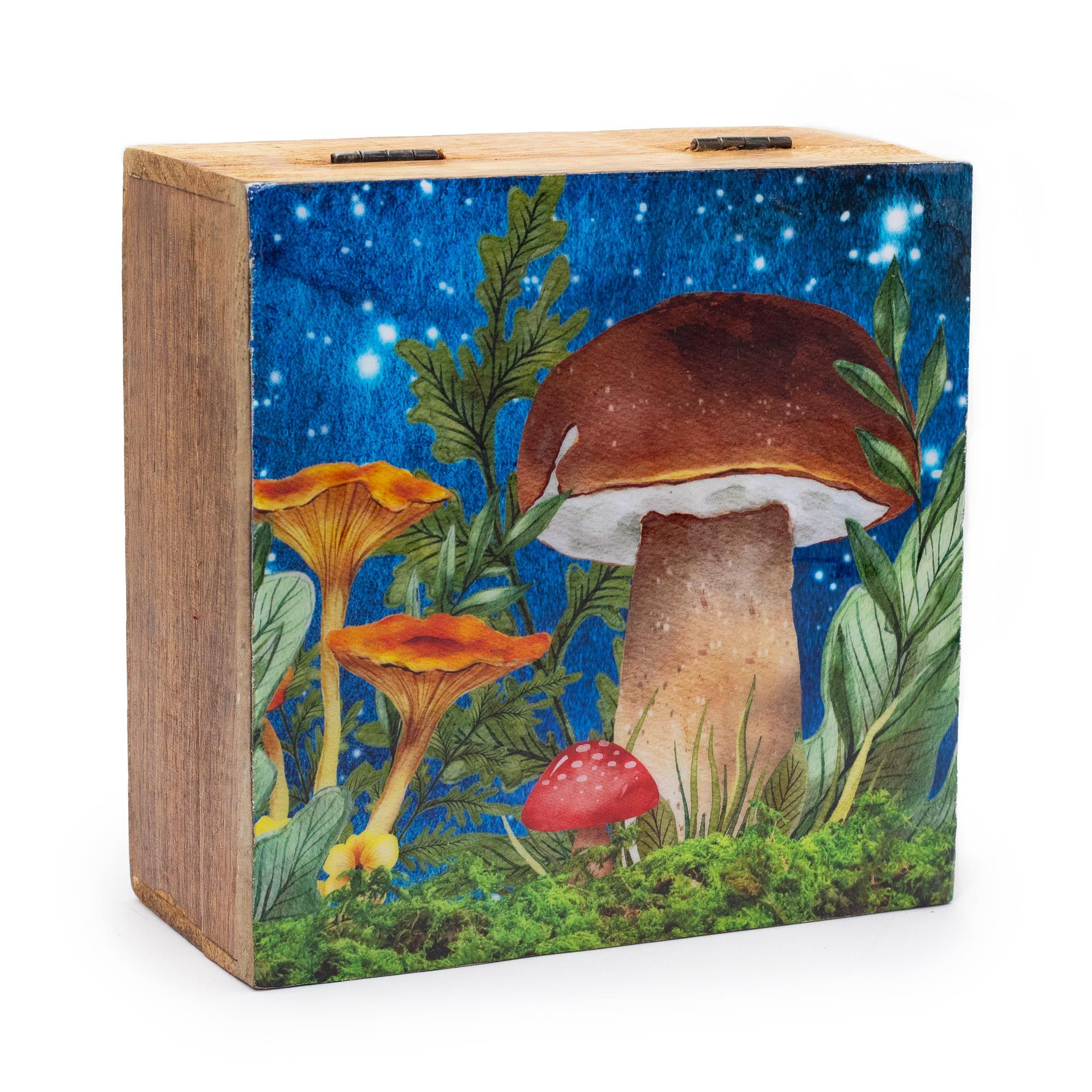 4cbca124-3d24-4512-abaa-bf9f5c4dc581.png