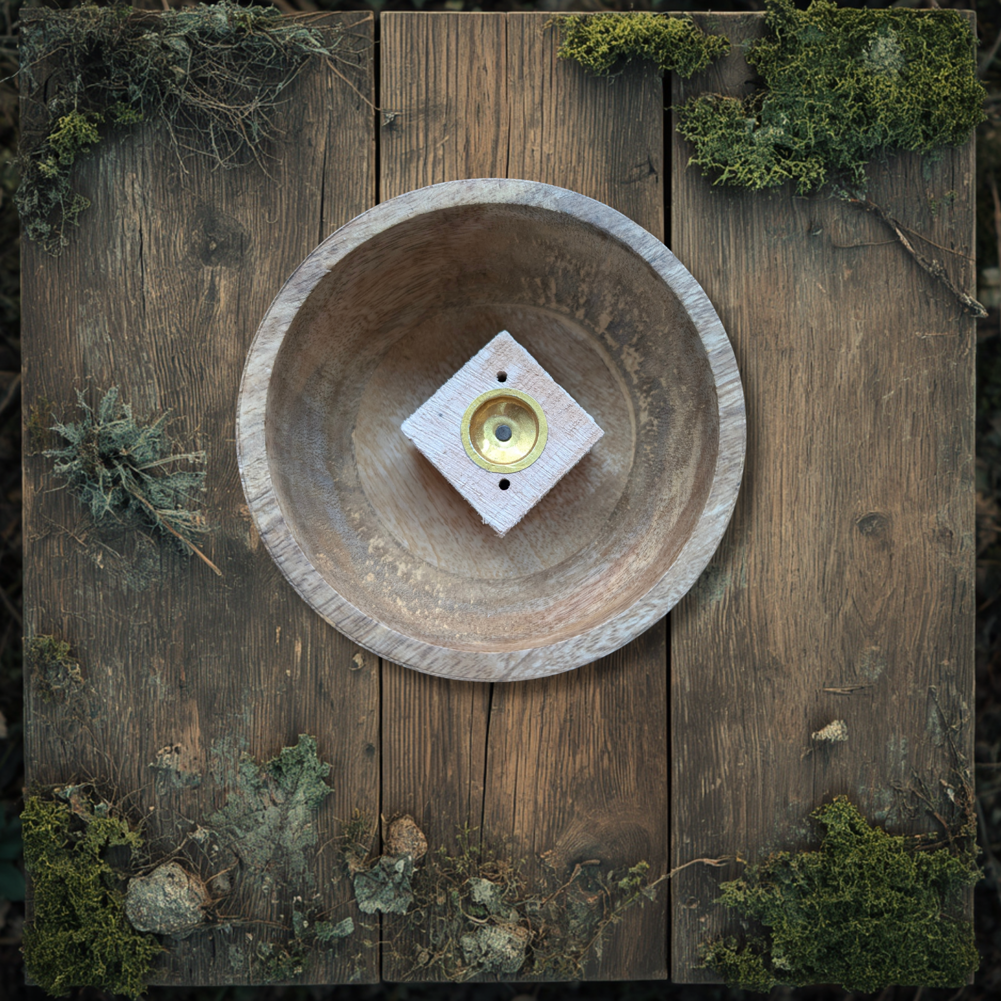 Woodland Flat Lay 01 - MASTER (5).png