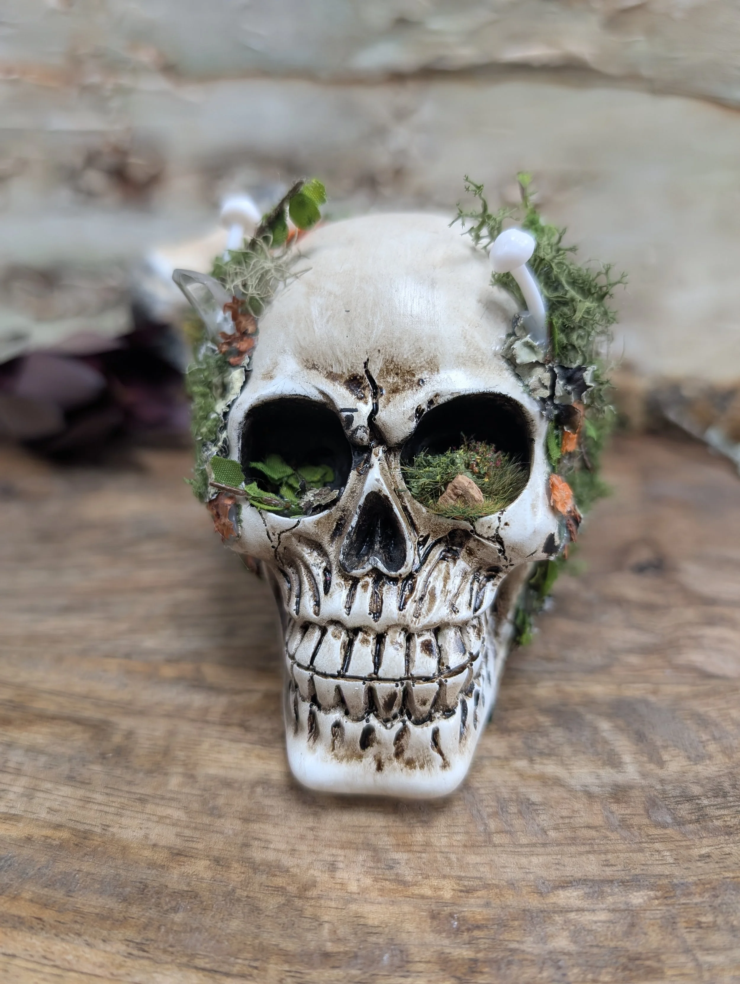 Nature Moss Skull Altar Decor  OOAK Green Witch Ritual Art Transformation