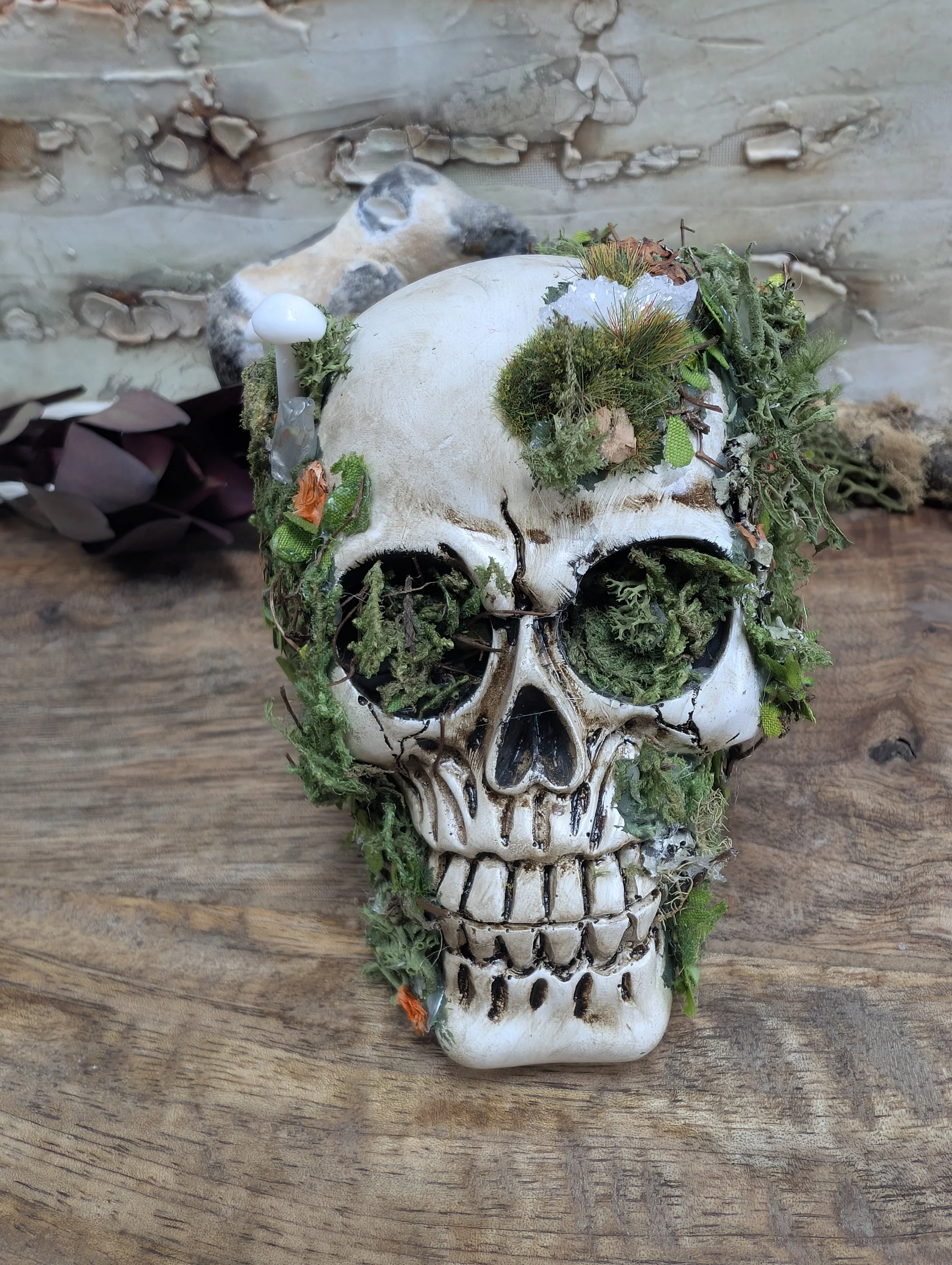 Nature Moss Skull Altar Decor | OOAK Green Witch Ritual Art