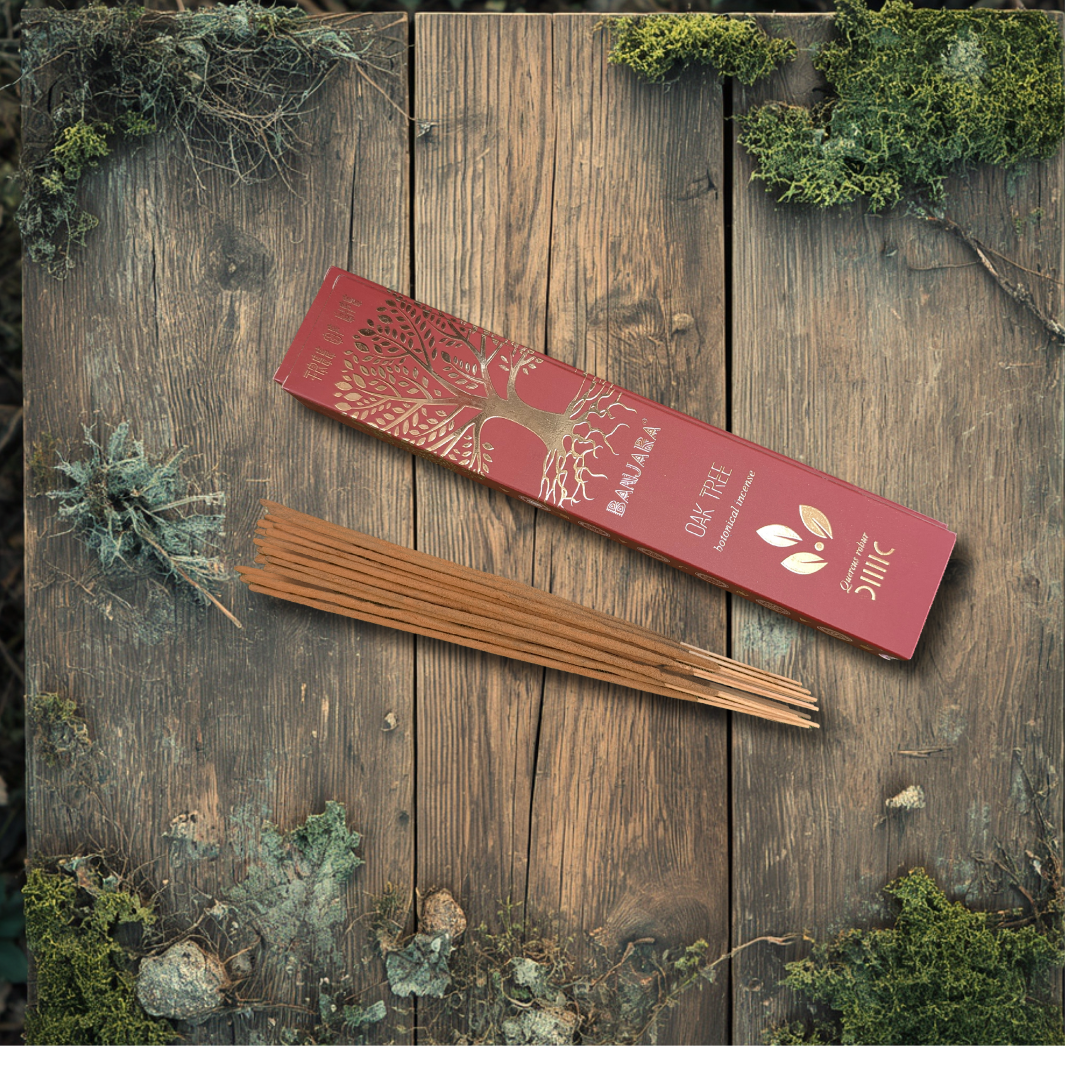 Woodland Flat Lay 01 - MASTER.png