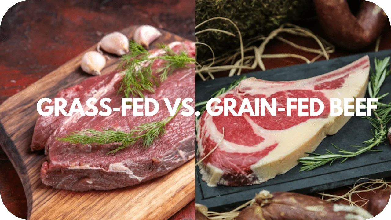 Comparison of grass-fed beef on the left and grain-fed beef on the right, both garnished with herbs.