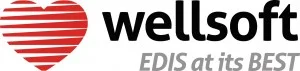 Wellsoft-Black-Text-Gray-300x71.jpg