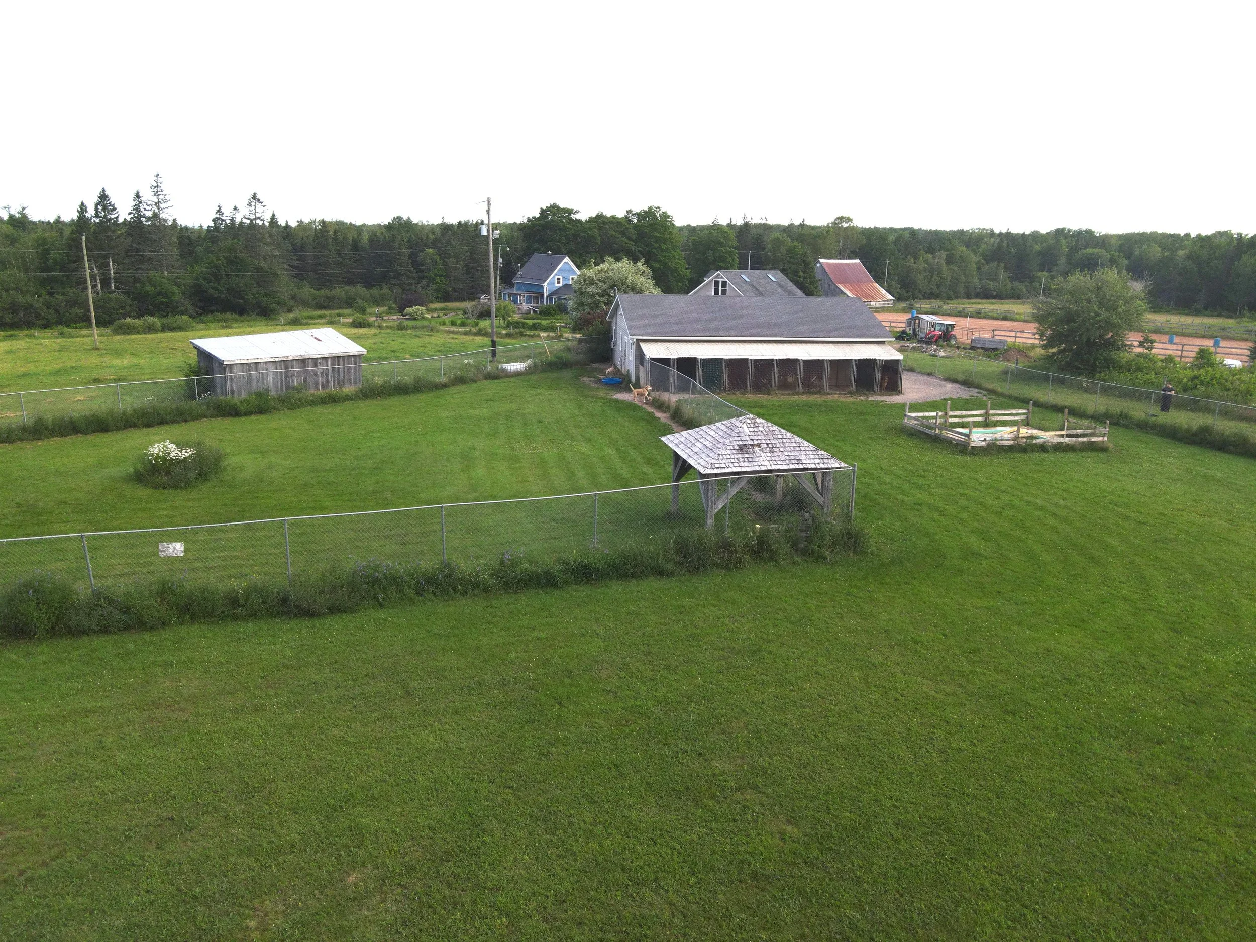 A rural farm scene with a green grassy field, several small farm buildings, a tractor, and a large fenced area with a dog walking near a building.