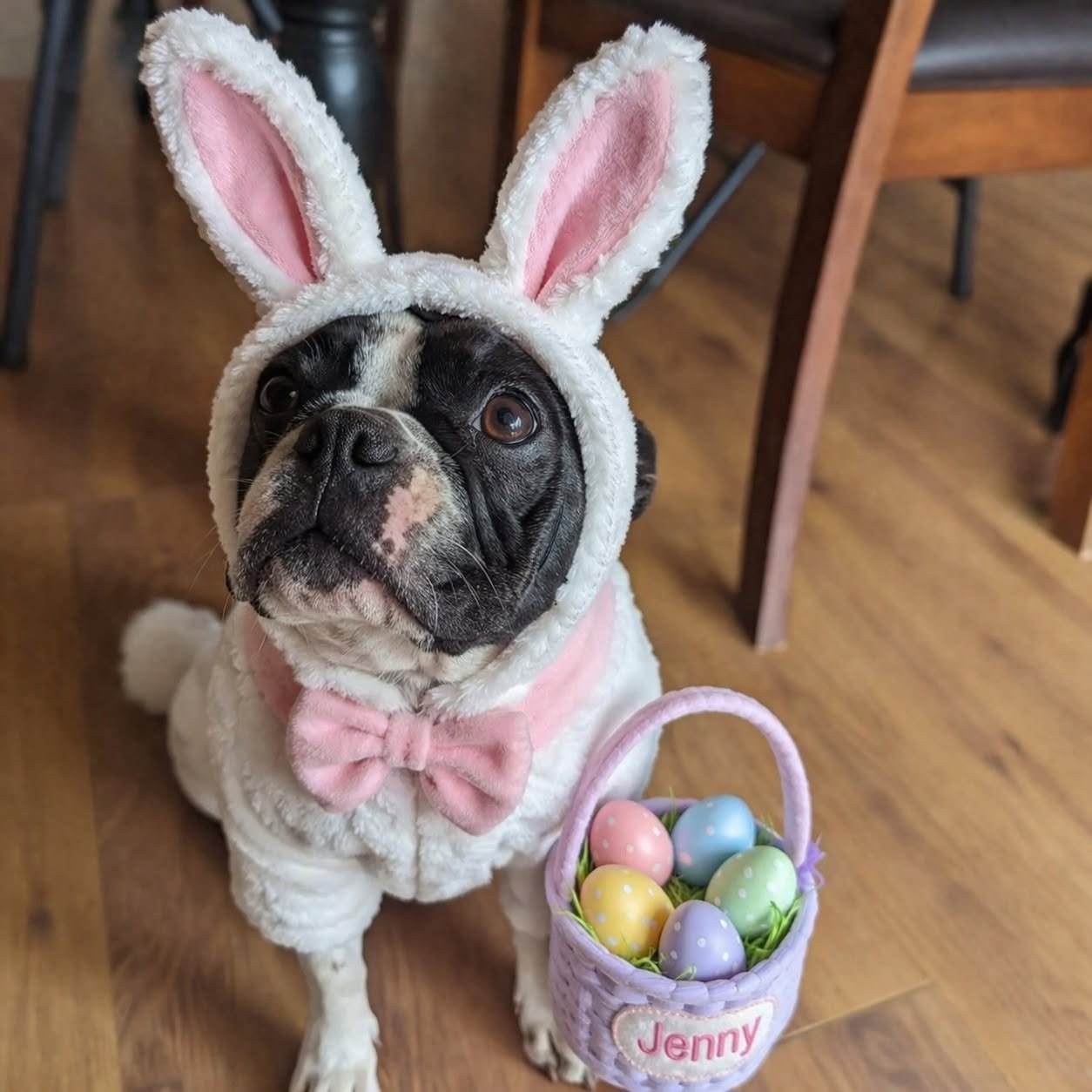 A dog dressed in a white fuzzy bunny costume with pink ears and a pink bow tie, holding a small pink basket filled with colorful decorated Easter eggs, sitting on a wooden floor.