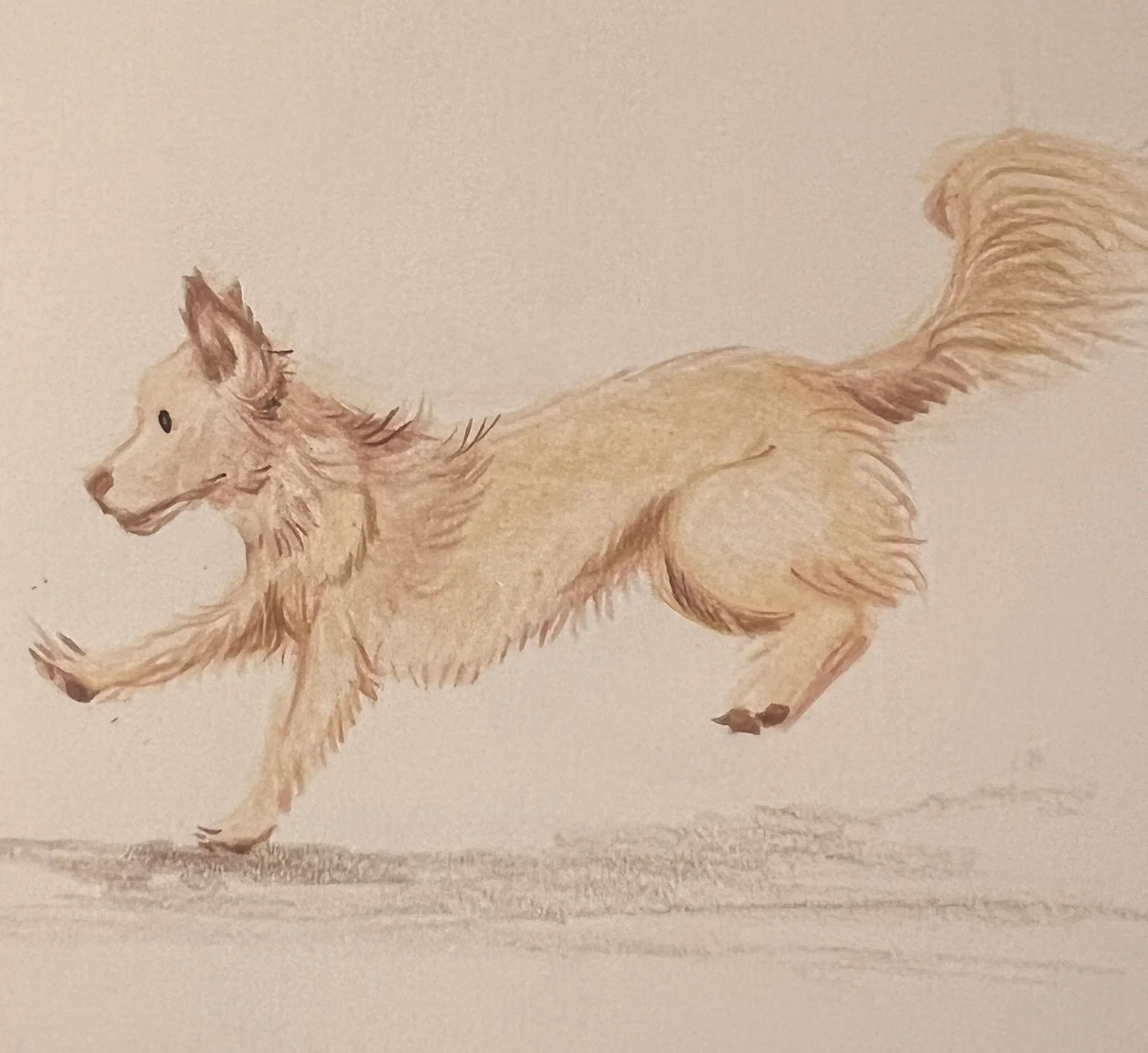 Watercolour painting of a running dog with a fluffy tail and a light brown coat.