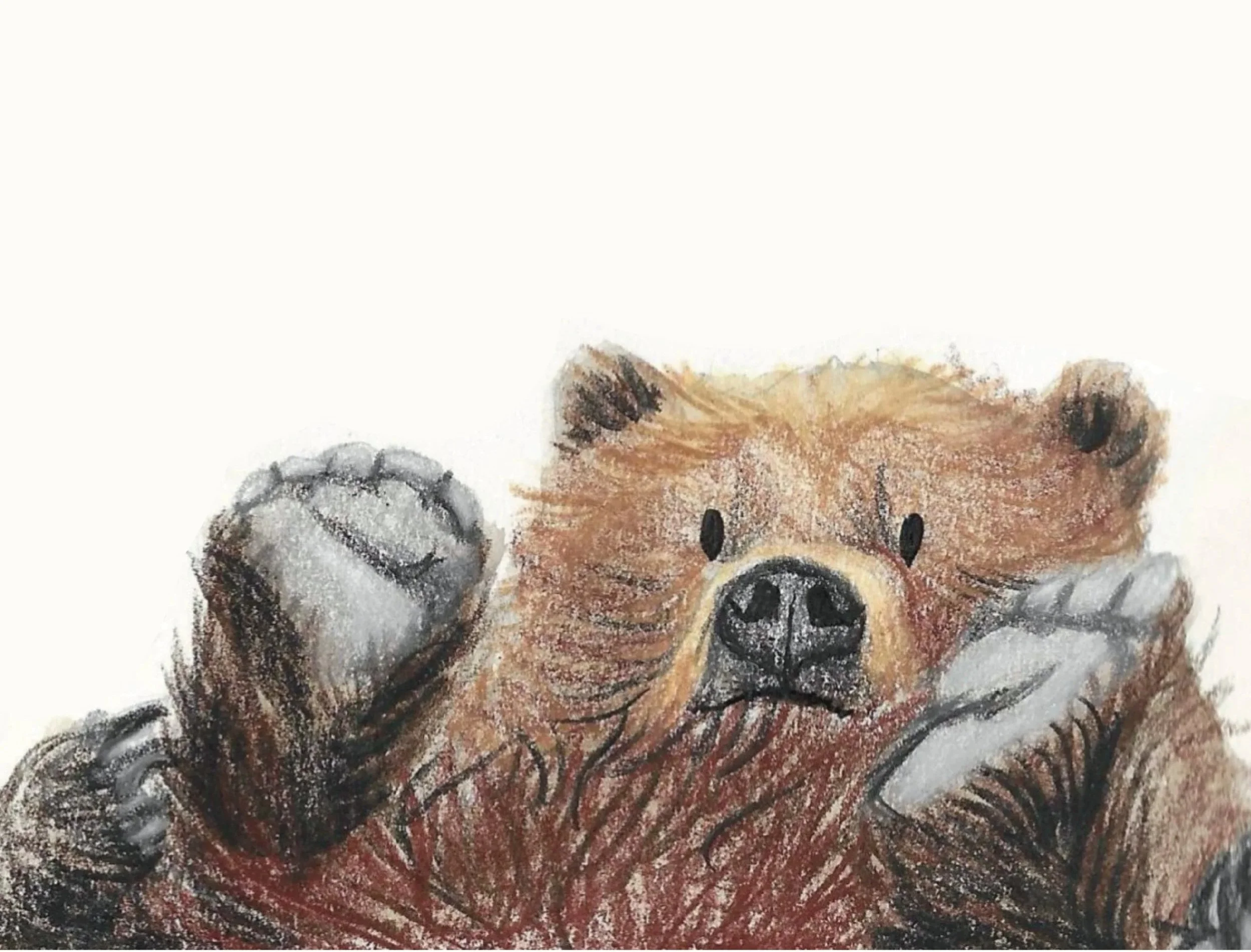 Close-up of a textured illustration of a bear coloured pencil.