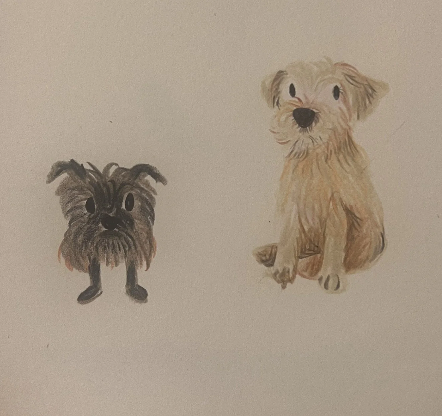 Drawing of two dogs, one small with long, dark fur and floppy ears, and one larger with light-colored fur and a happy expression.