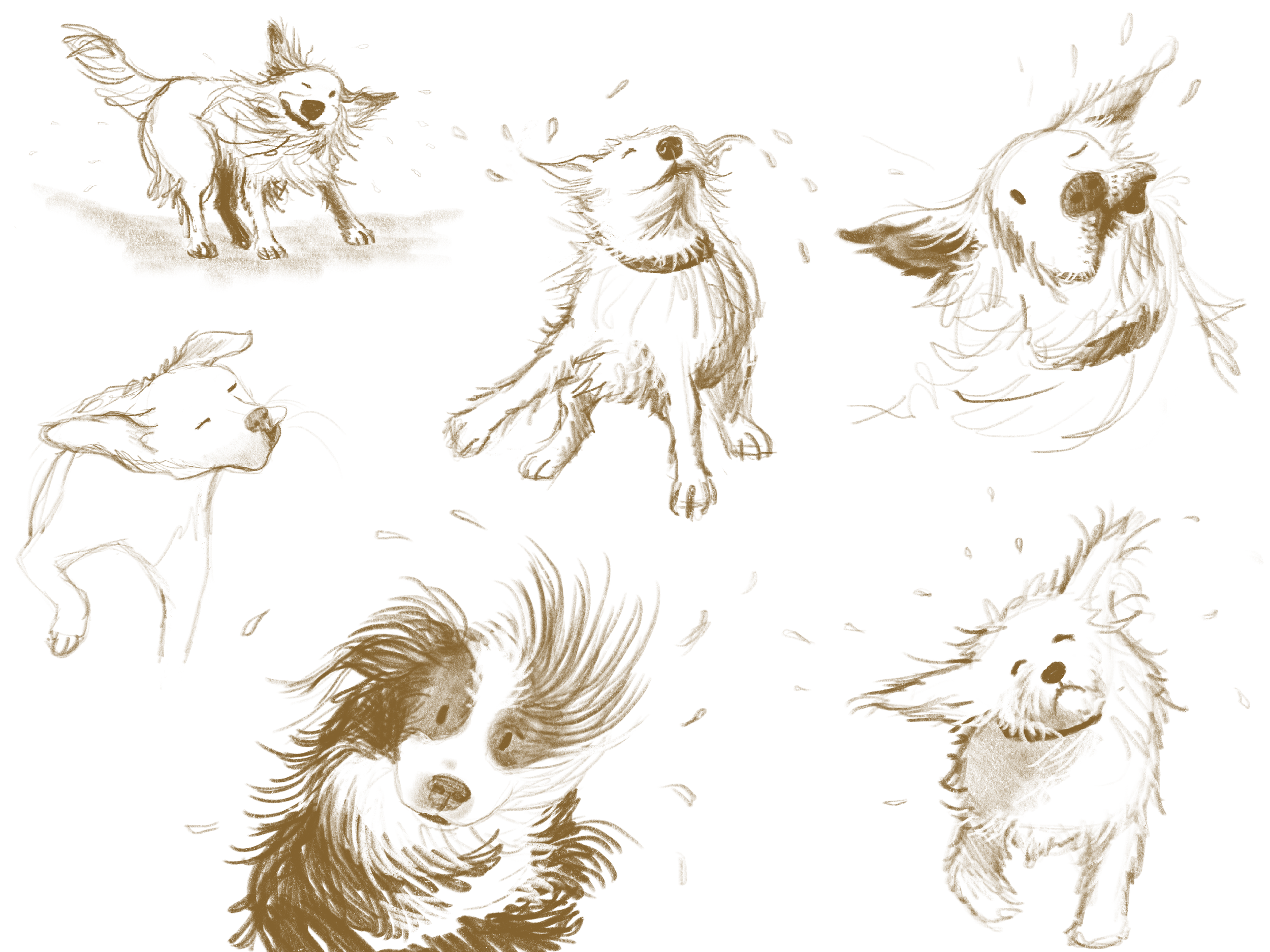 Sketch of multiple dogs, including a happy dog, a dog with a collar, and other various dog sketches.