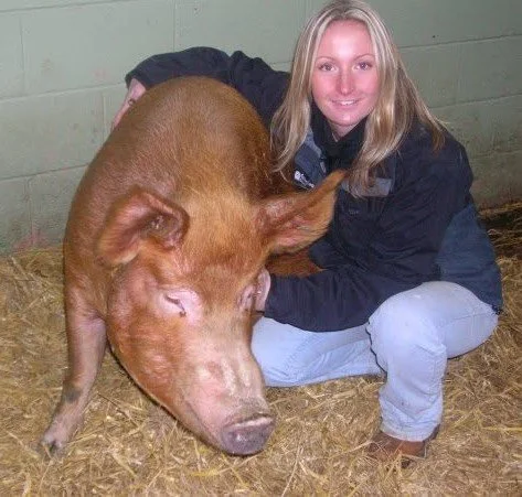 A woman crouching next to a large pig lying on straw inside a barn.
