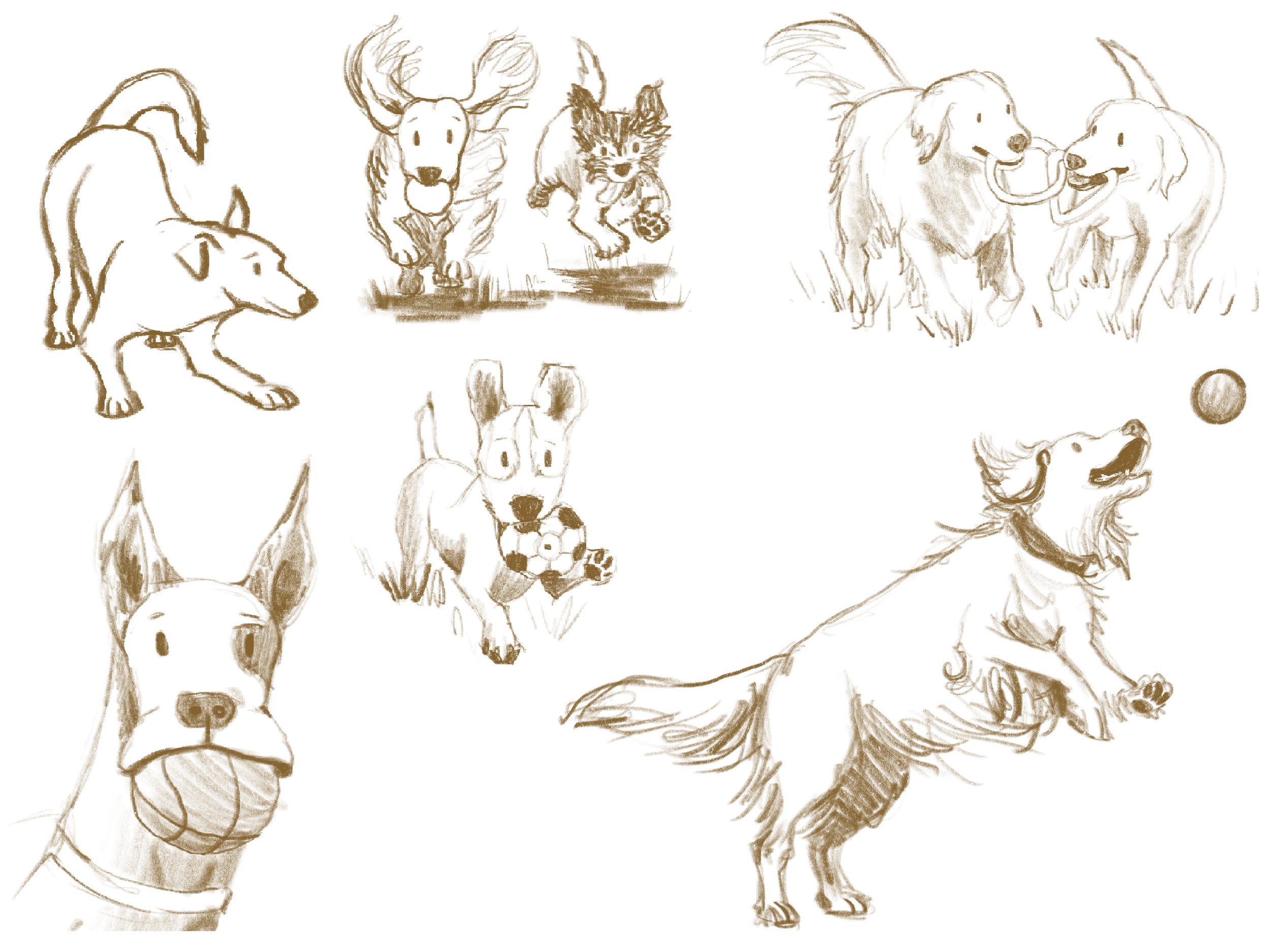 Sketches of various dogs in different poses and with different accessories.