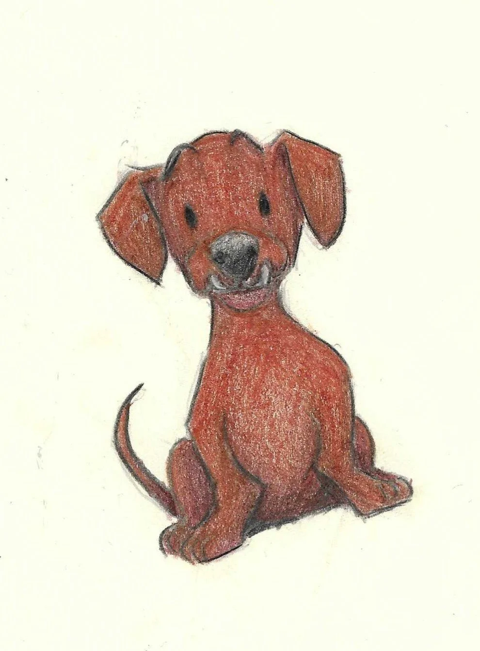Colored pencil drawing of a sitting brown puppy with floppy ears and a happy expression.