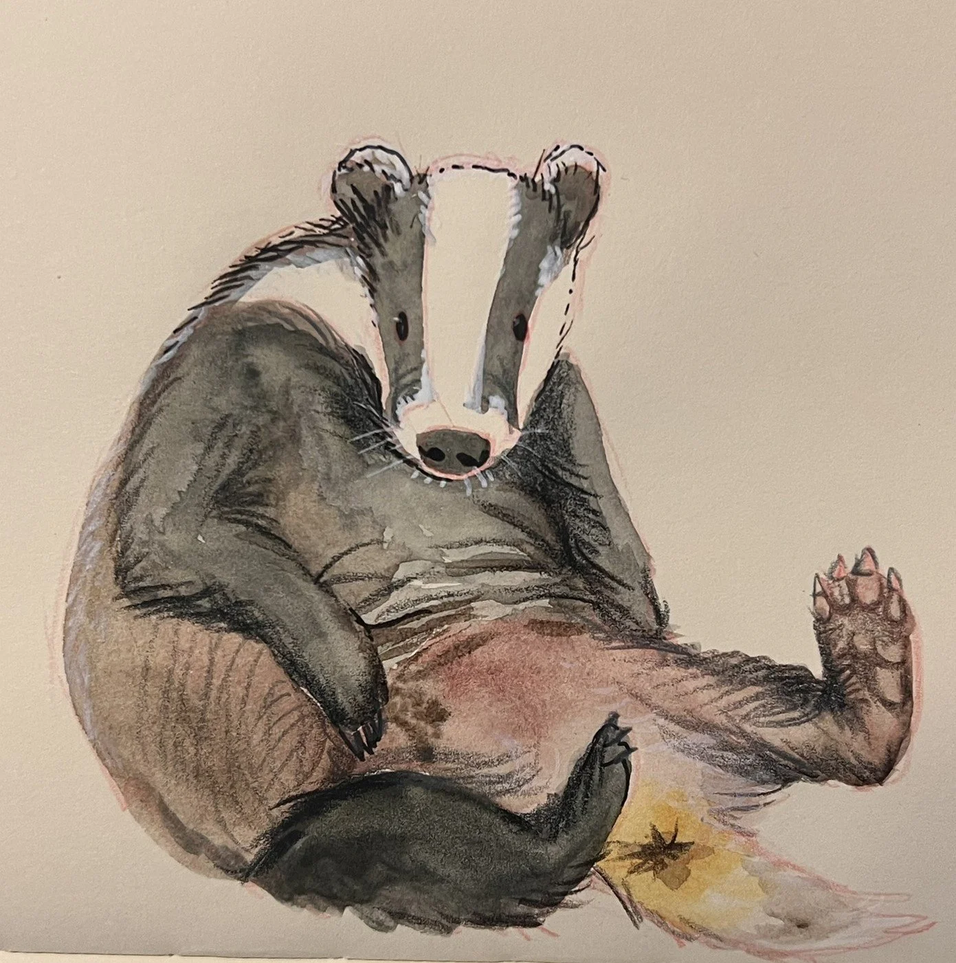 A realistic illustration of a badger sitting with one arm raised and a paw showing claws, on a light background.