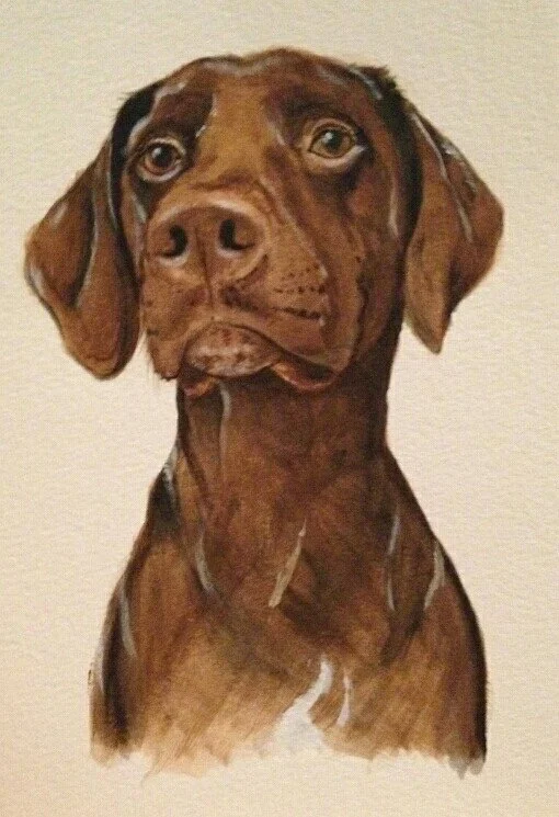 Painting of a brown dog, possibly a Labrador Retriever, with expressive eyes and floppy ears, against a plain background.