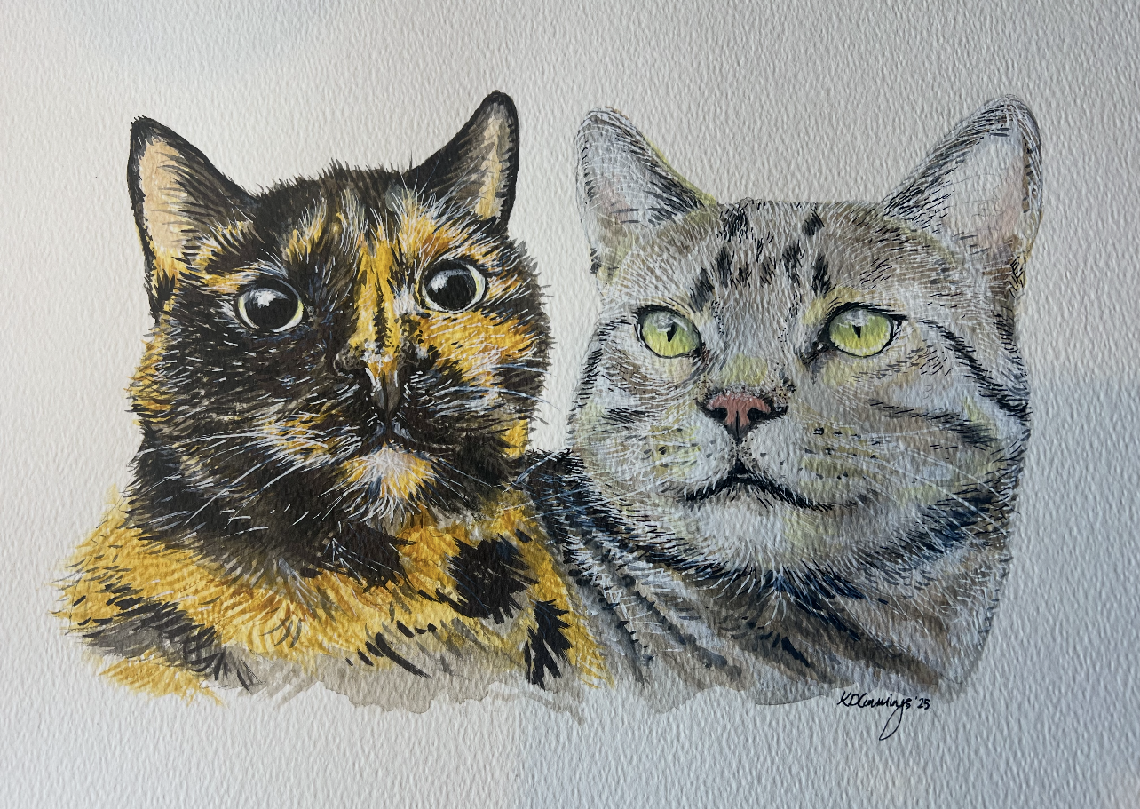 Watercolour painting of two cats, one with black and orange fur and the other with gray tabby fur, against a white background.