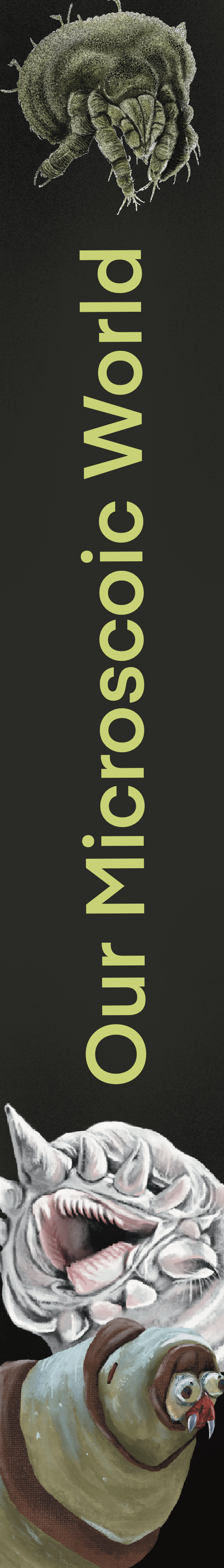 IMG_0348.PNG
