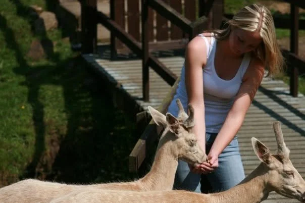 A young woman with blonde hair in a white tank top feeding 2 deer