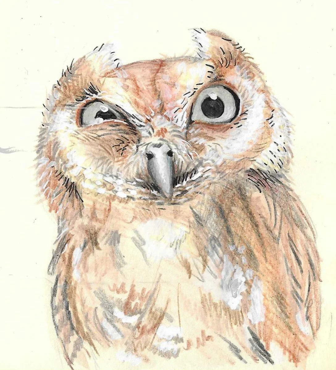 Watercolour painting of a cute owl with big eyes, looking slightly to the side.