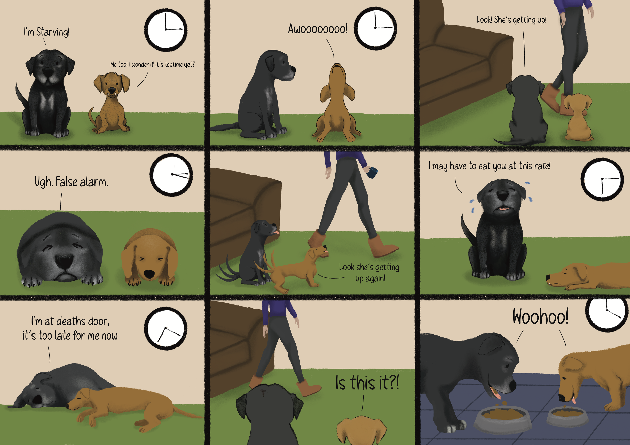 IMG_0497.PNG