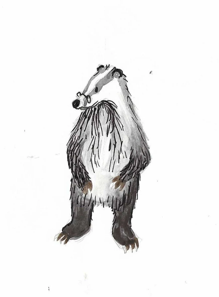 A watercolour painting of a standing badger.