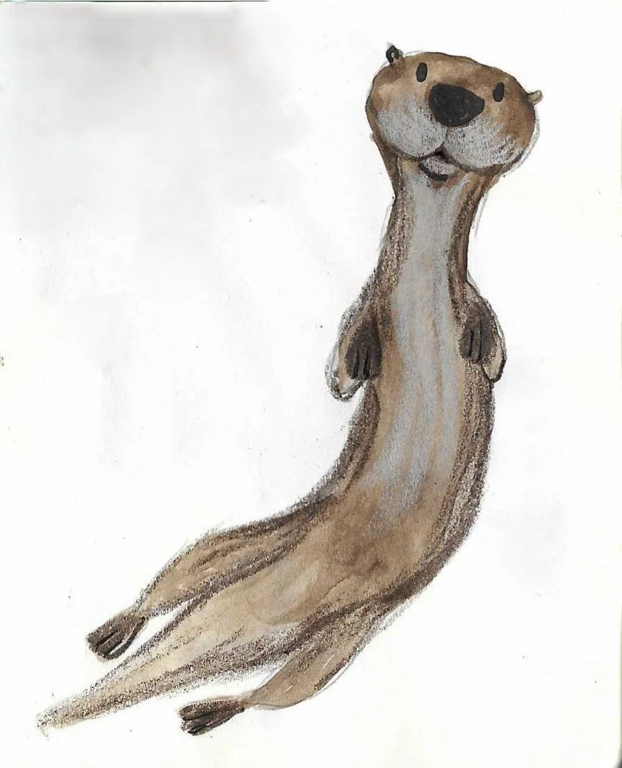 A watercolour drawing of a happy otter with a big head, rounded face, and a long, sleek body. The otter appears to be floating or swimming against a plain background.