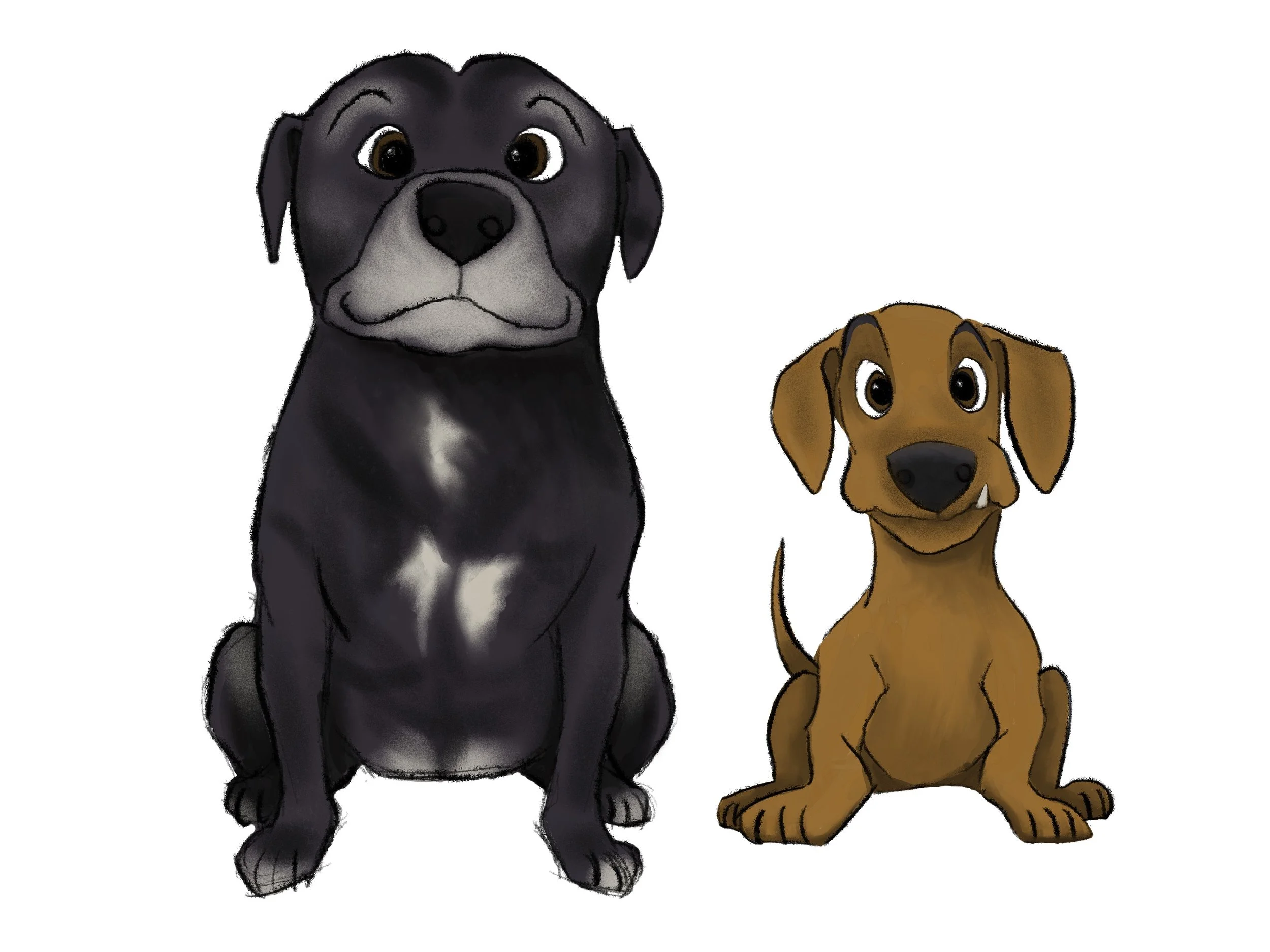 Illustration of two dogs, a black and white one on the left and a brown one on the right, both sitting and facing forward.