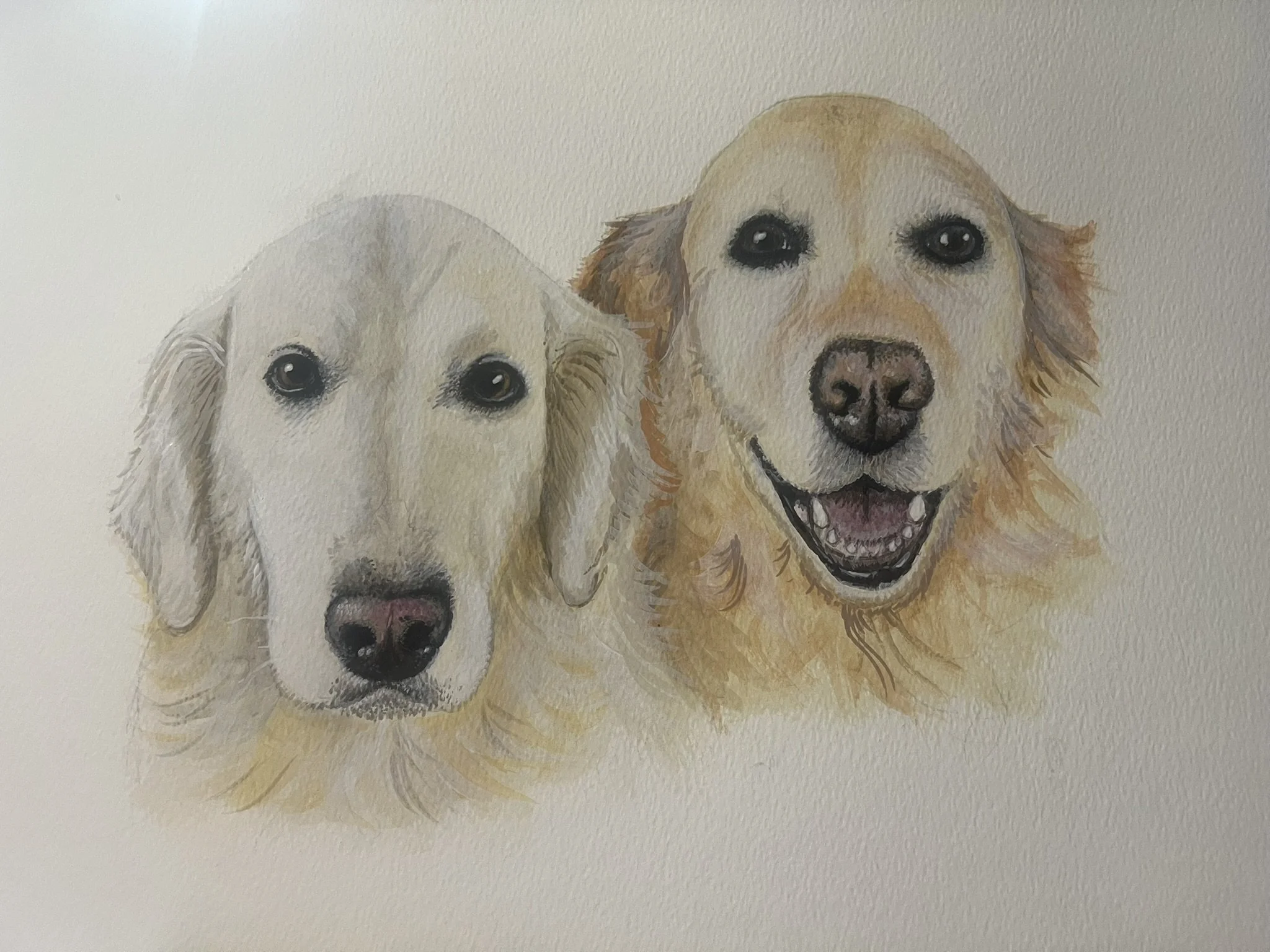 Watercolour painting of two golden retriever dogs, one younger with a darker nose on the left and an older with a wide smiling mouth on the right, against a plain light background.