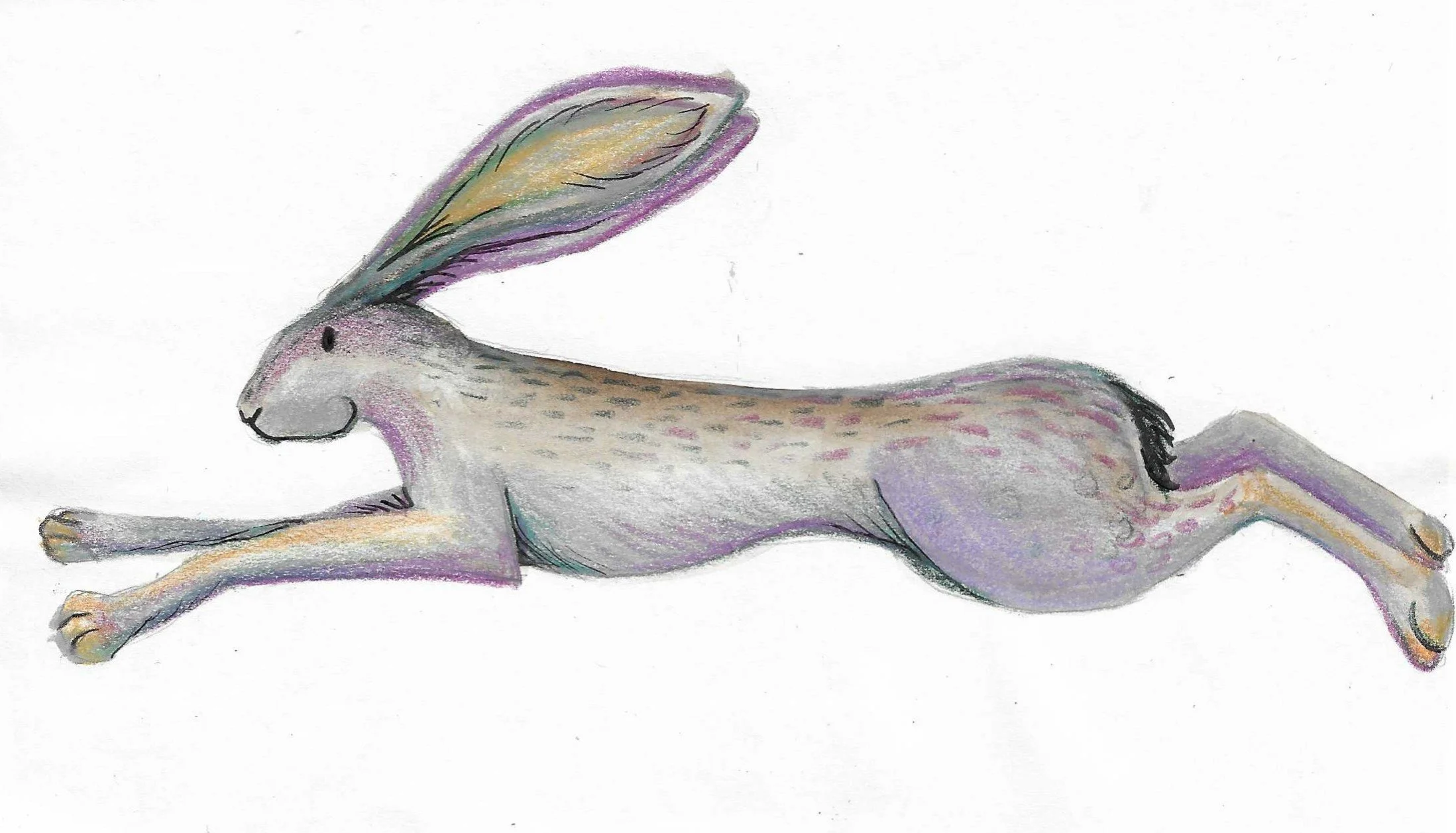 Colourful drawing of a hare in motion, with large ears and a playful expression on its face.
