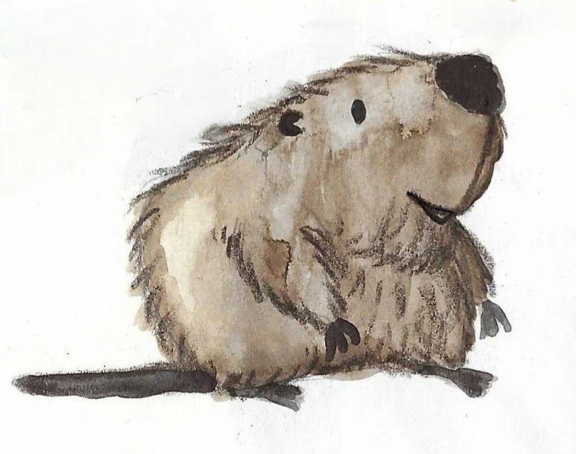 Watercolour illustration of a cute, fluffy beaver with brown fur, black eyes, and a small black nose.