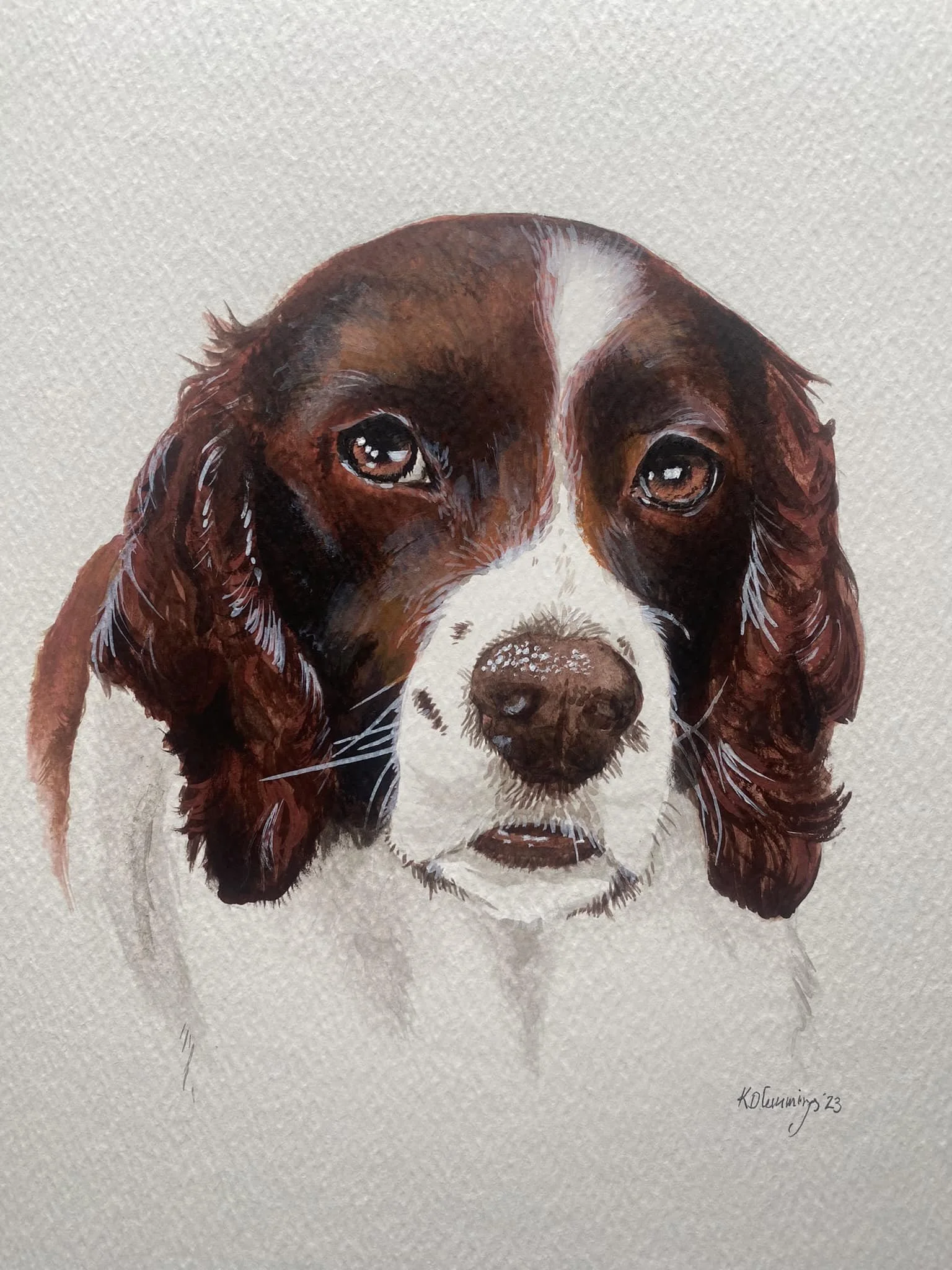 Watercolour painting of a dog with brown and white fur, long ears, and expressive eyes.