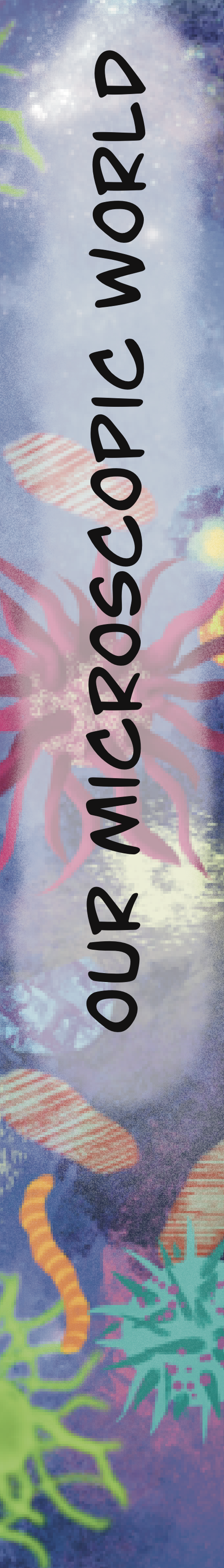 IMG_0347.PNG