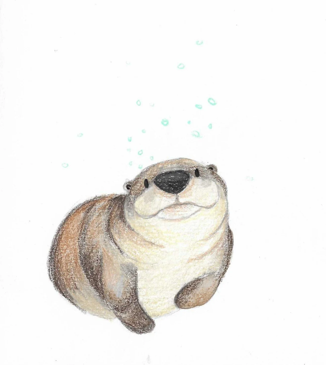 Hand-drawn illustration of a happy otter with bubbles floating above it.