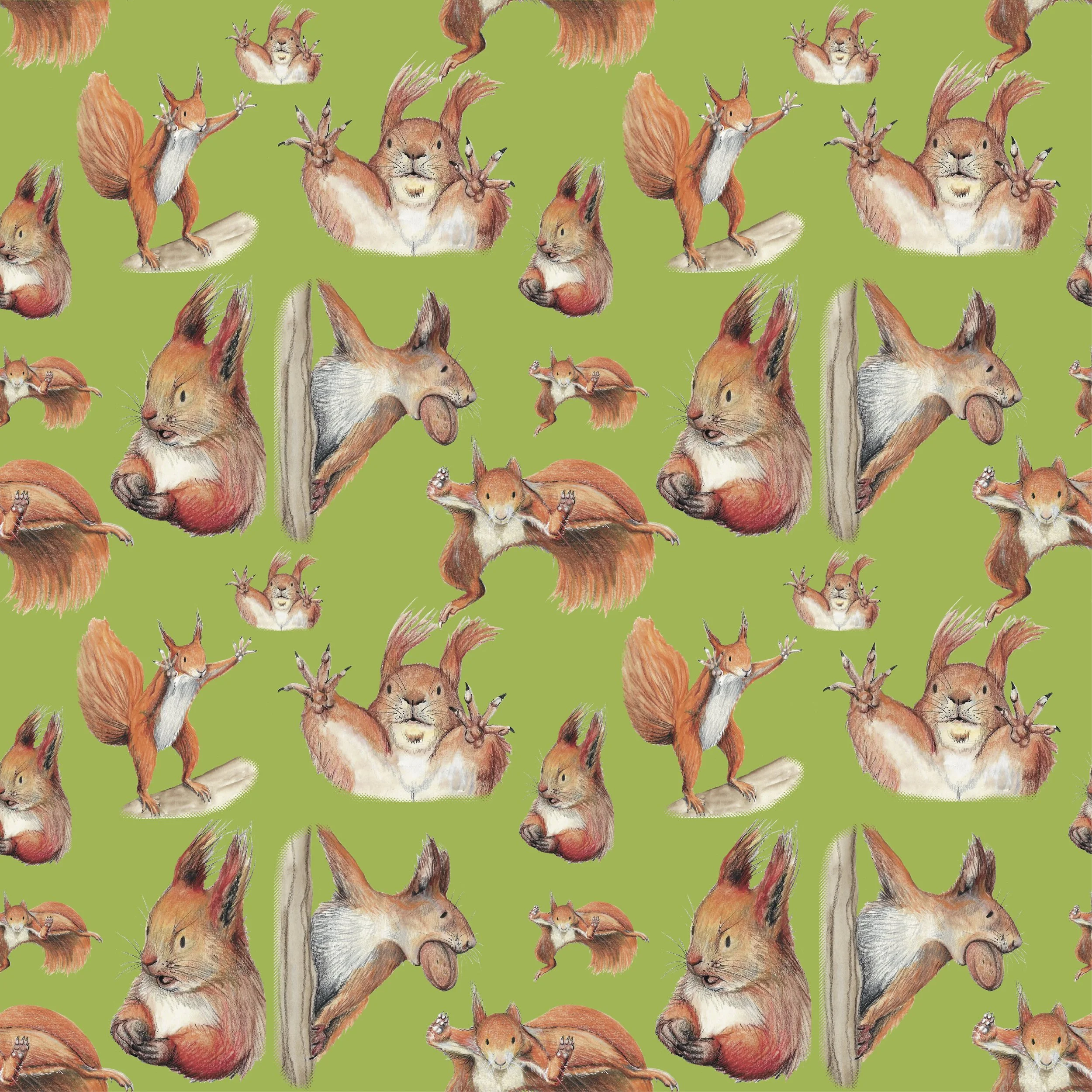 Pattern of illustrated squirrels with bushy tails, some standing on logs, on a green background.