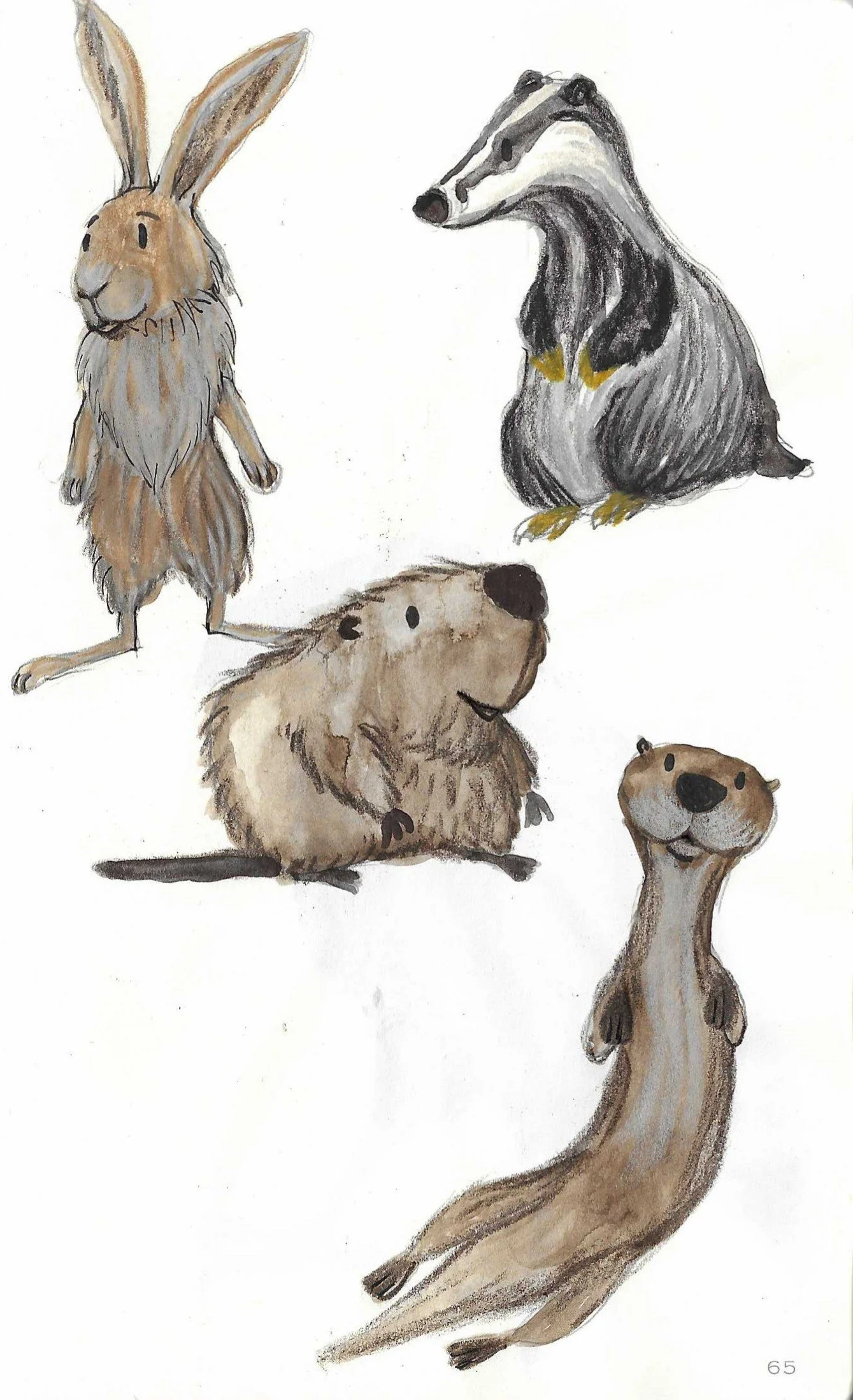 Watercolour illustrations of four animals: a rabbit with long ears and a fluffy tail, a mischievous-looking otter, a fluffy beaver with a flat tail, and a badger sitting.