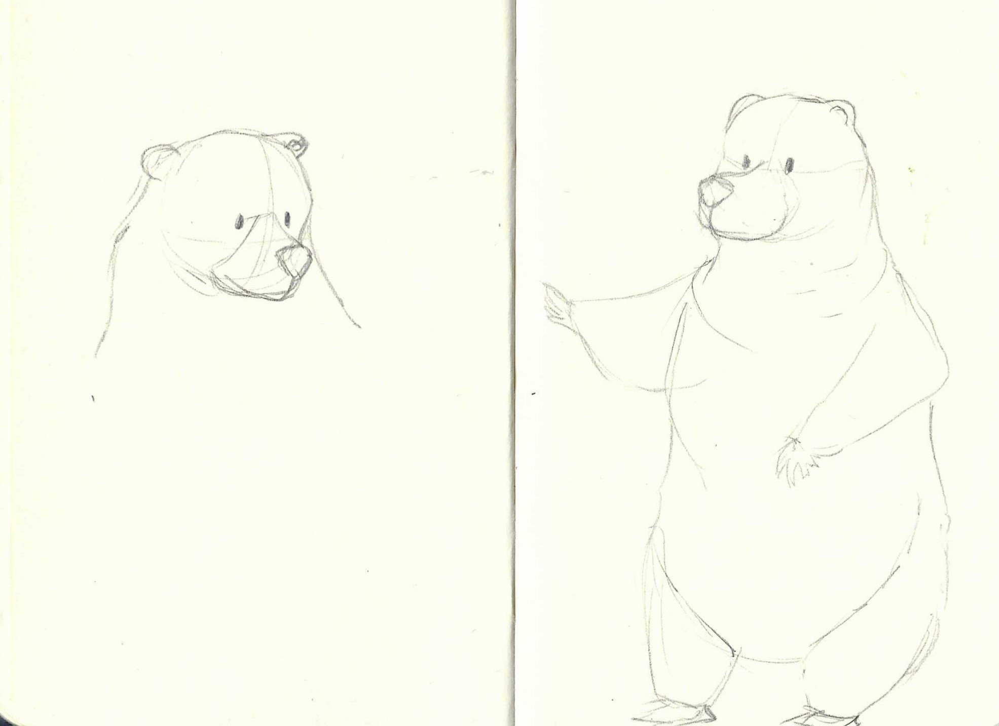 Two pencil sketches of a bear, one on each side of the image, with a simple outline and little detail.