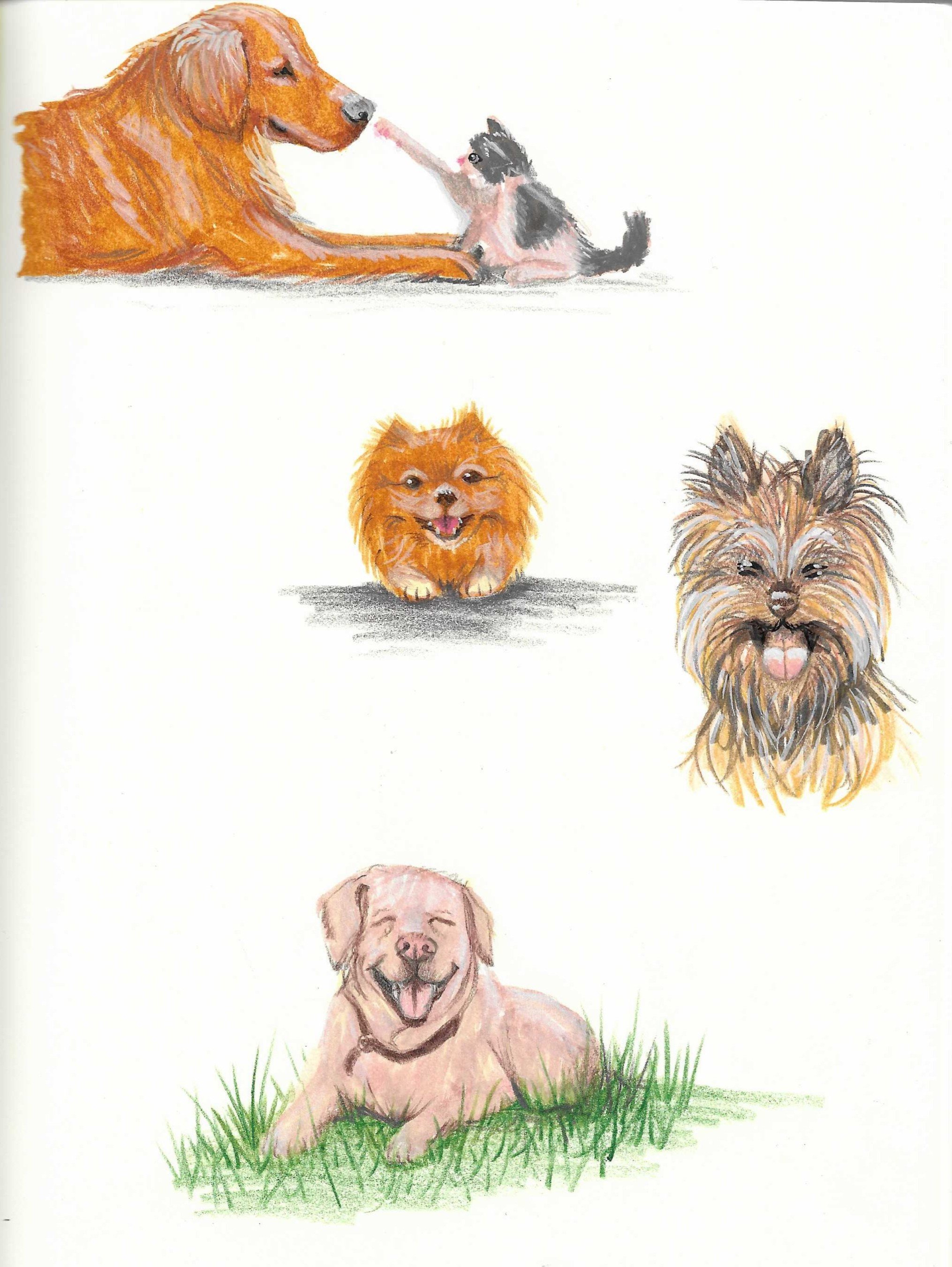 Various illustrated dogs and animals, including a dog and a small black and white animal, a fluffy dog, and a larger fluffy dog, all drawing or painting on white paper.