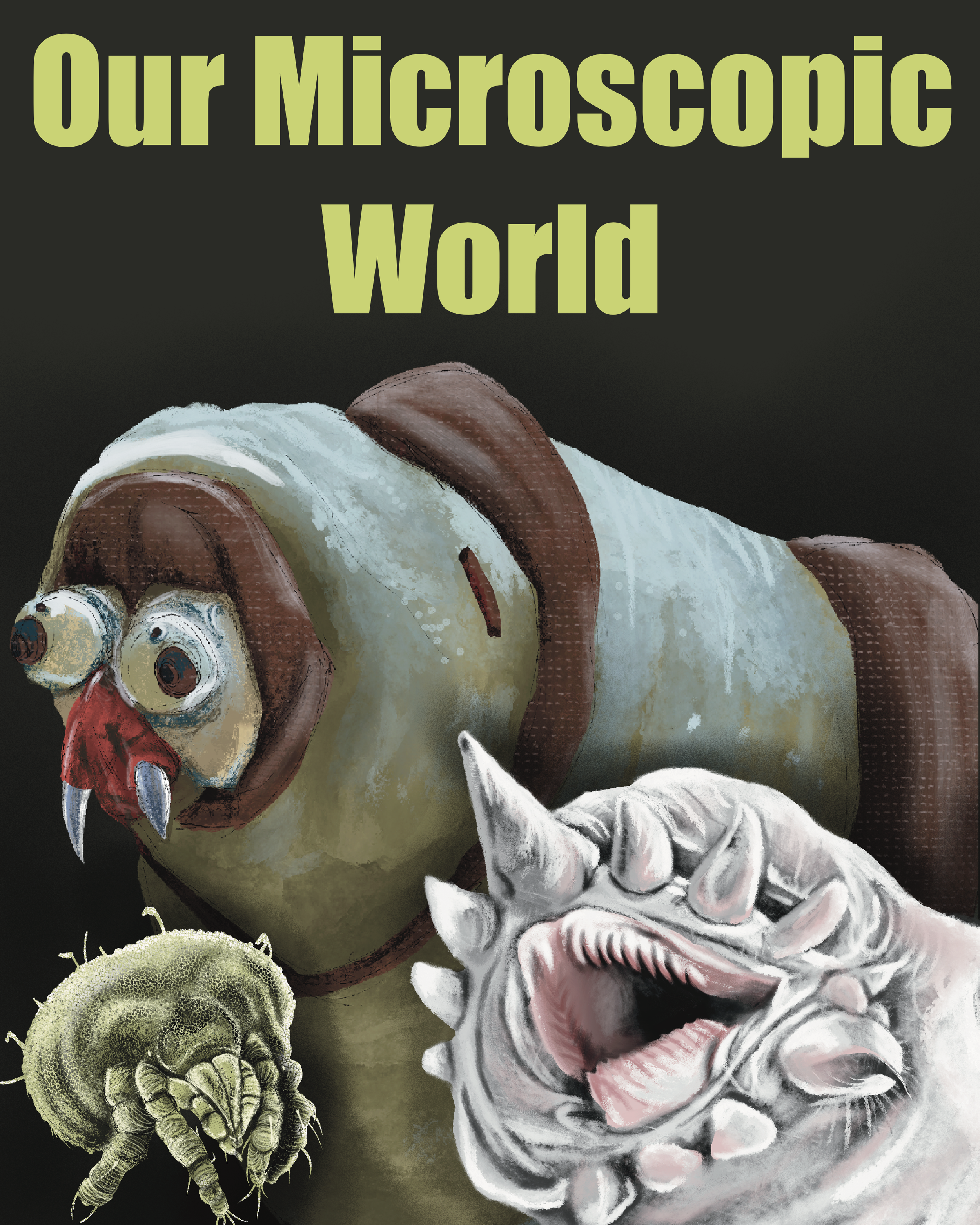 IMG_0339.PNG