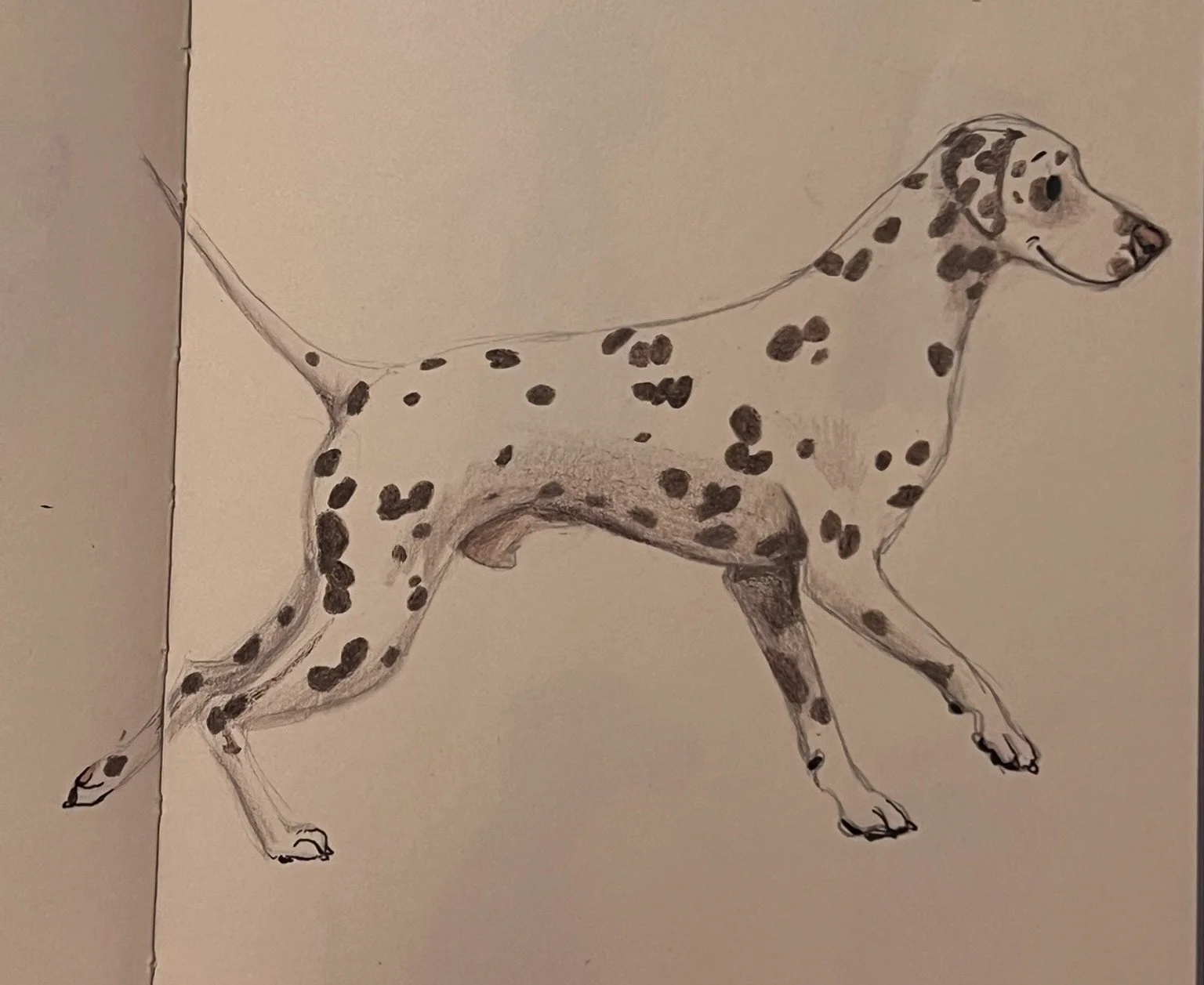 A hand-drawn sketch of a Dalmatian dog with black spots on its body, standing on all four legs, facing right.