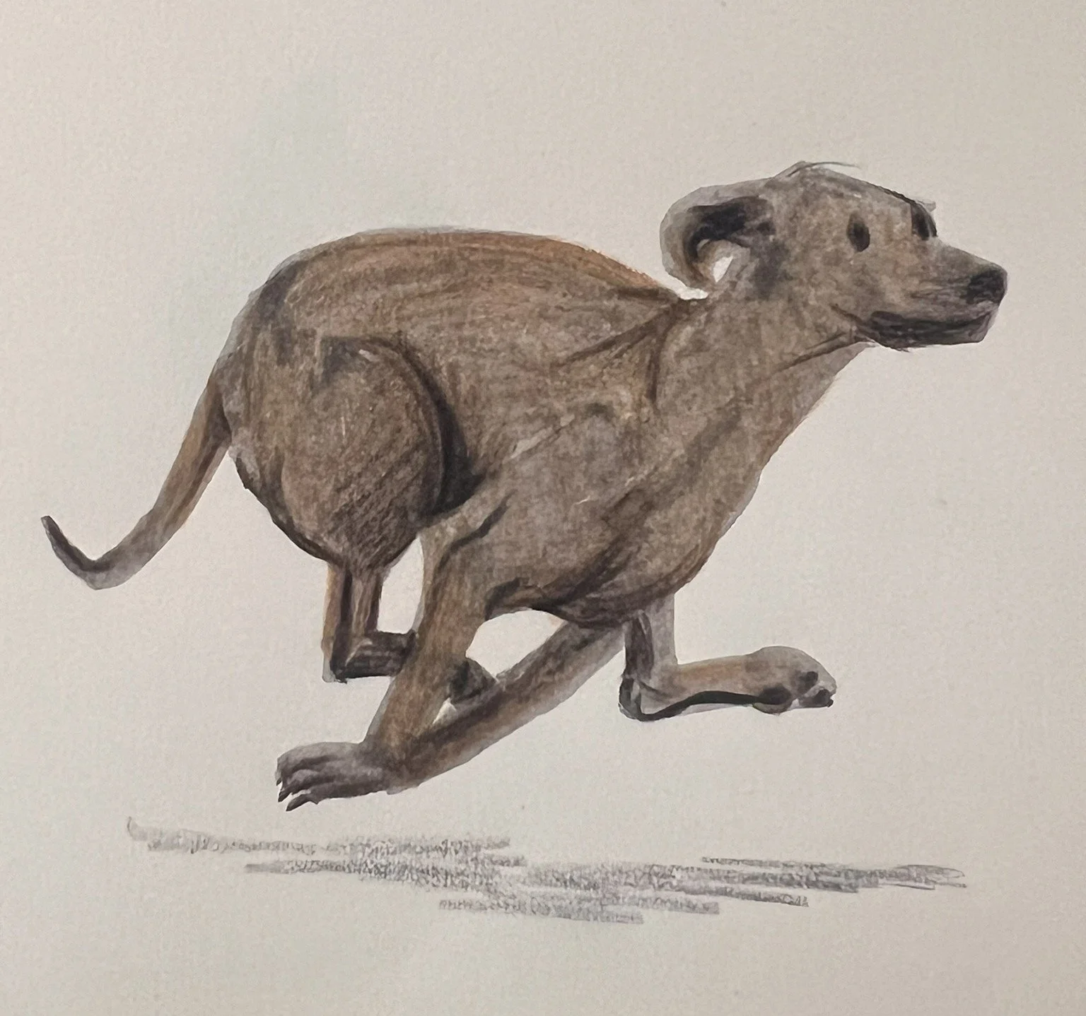 A sketch of a running dog 