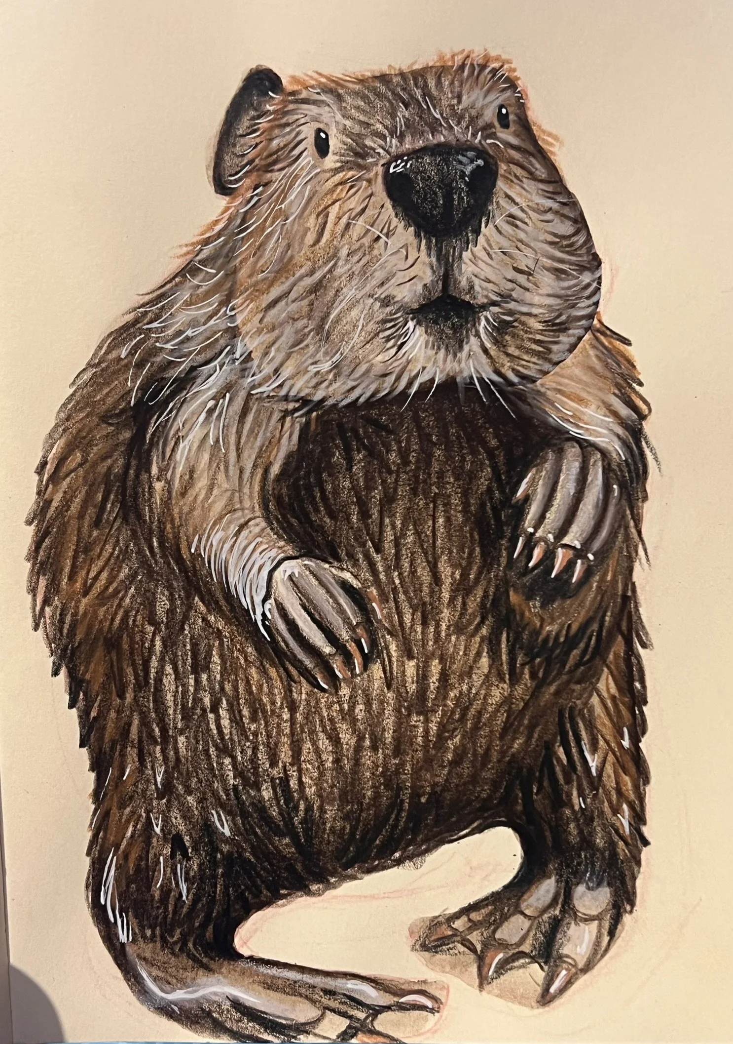 An illustration of a beaver sitting on a beige background.